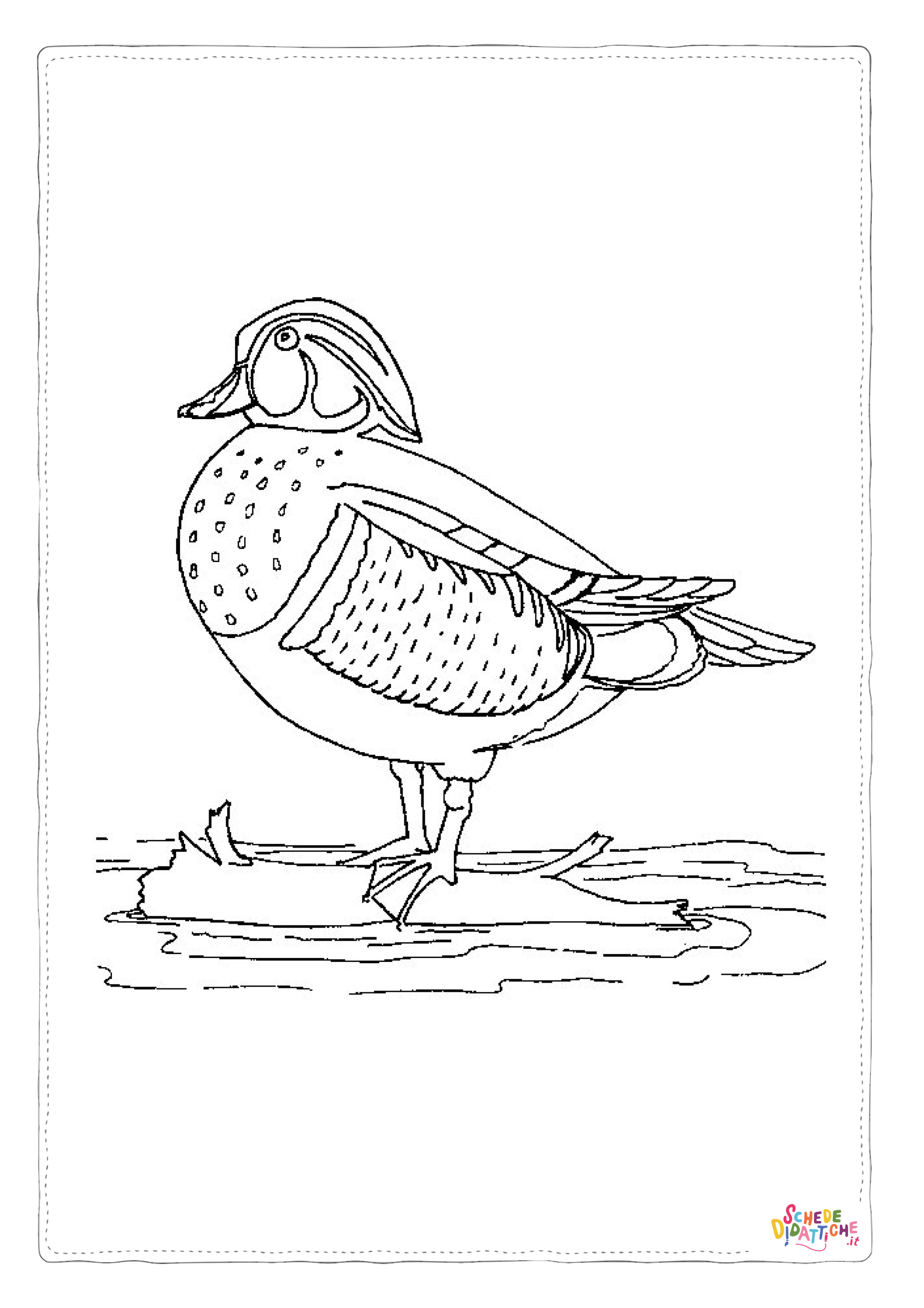 Disegno "Disegno di uccello da stampare e colorare 103" Disegno di uccello da stampare e colorare 103