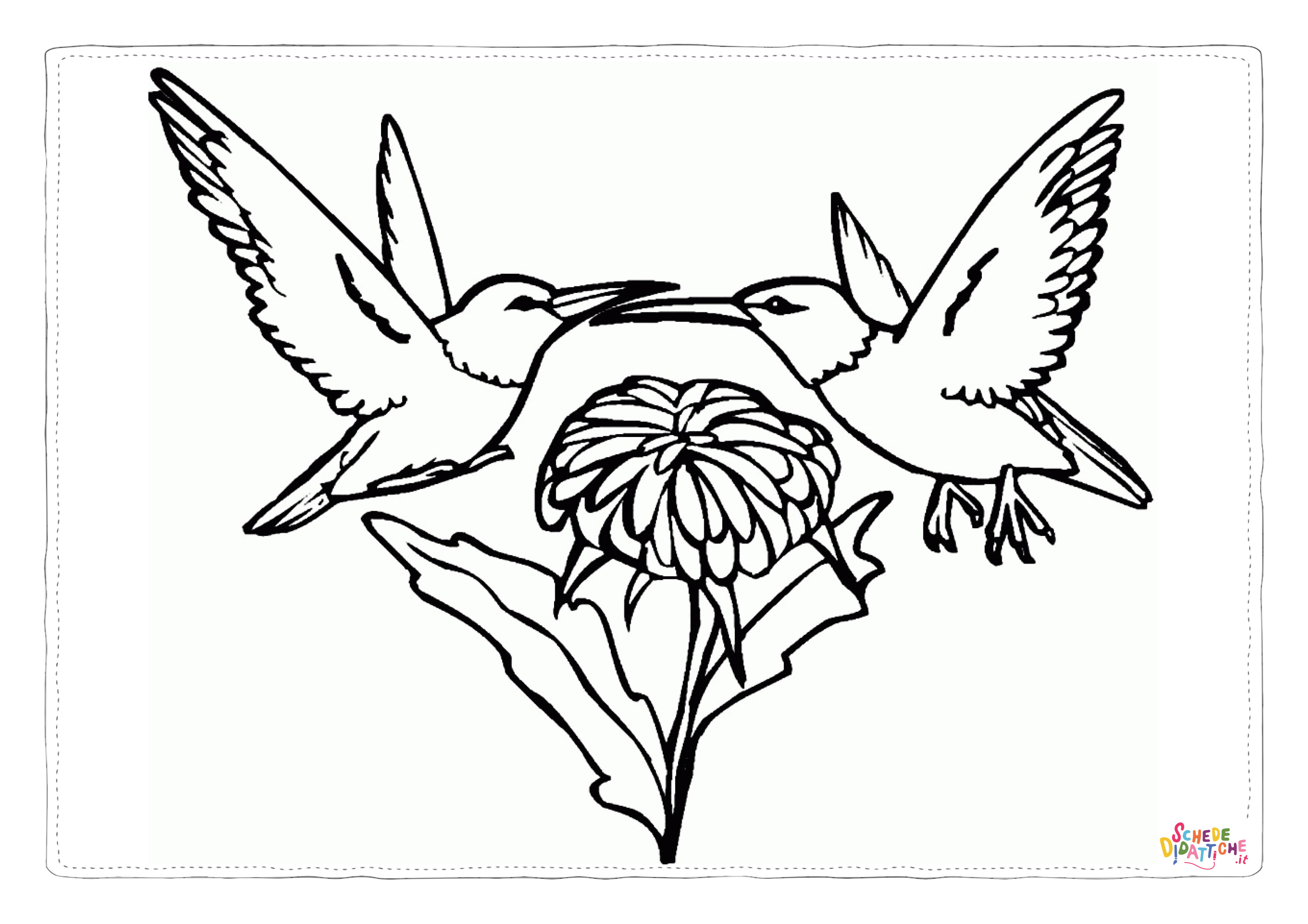 Disegno "Disegno di uccello da stampare e colorare 117" Disegno di uccello da stampare e colorare 117