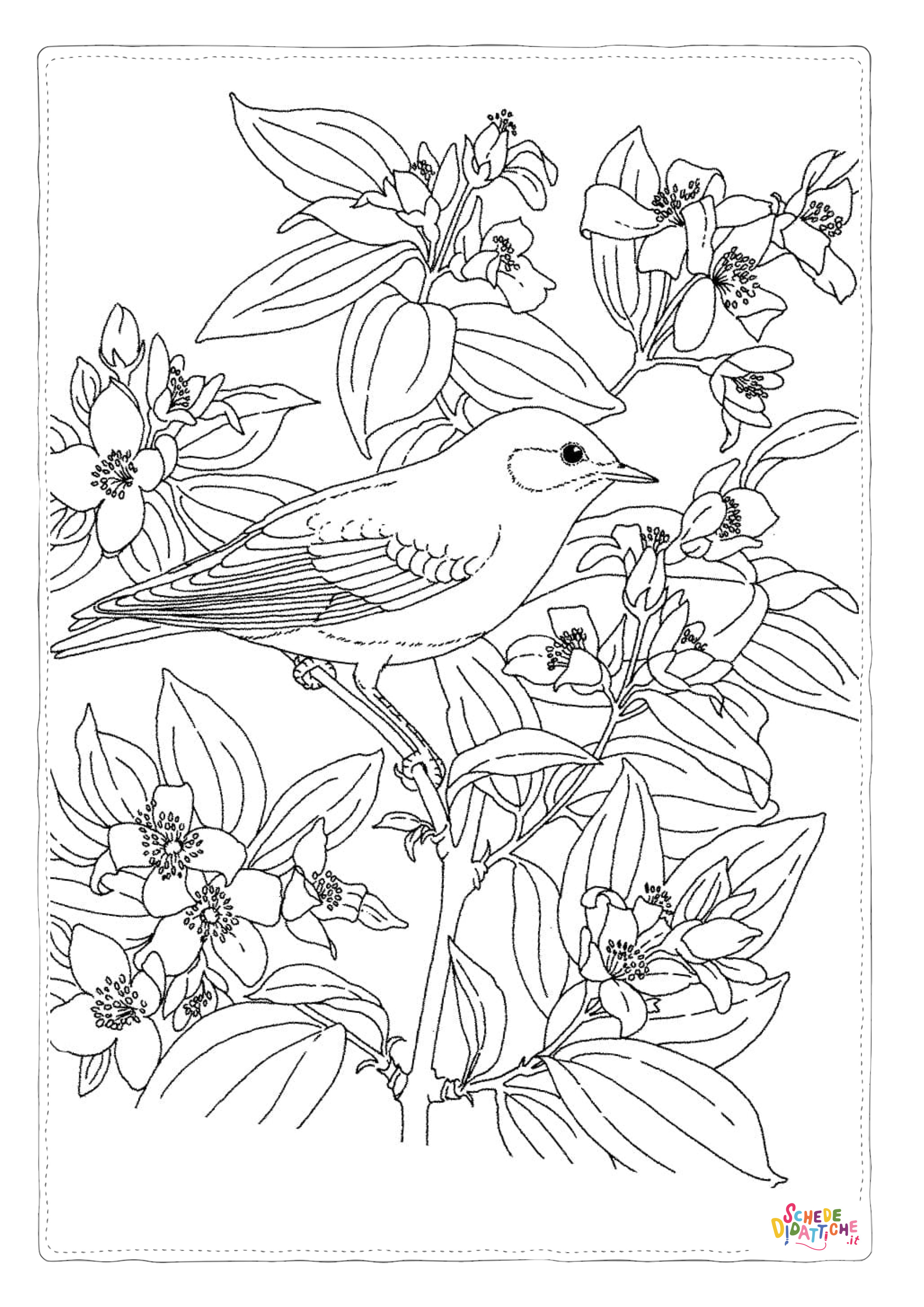 Disegno "Disegno di passero da stampare e colorare 122" Disegno di passero da stampare e colorare 122