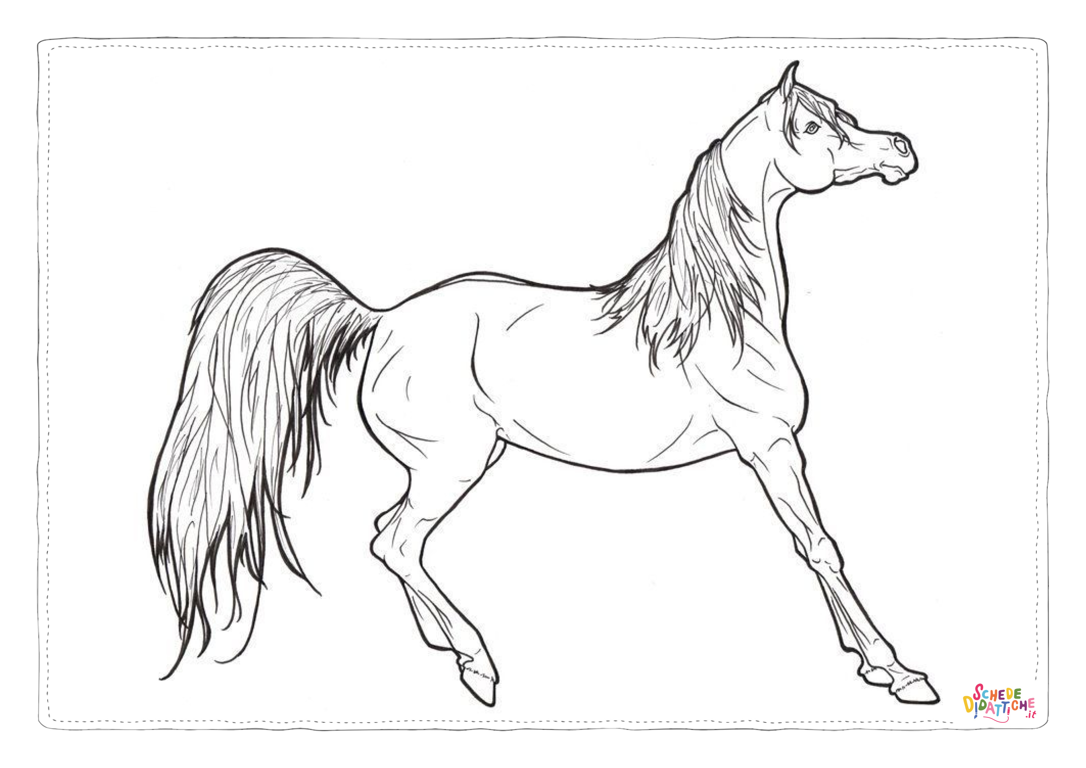 Disegno "Disegno di cavallo da stampare e colorare 215" Disegno di cavallo da stampare e colorare 215