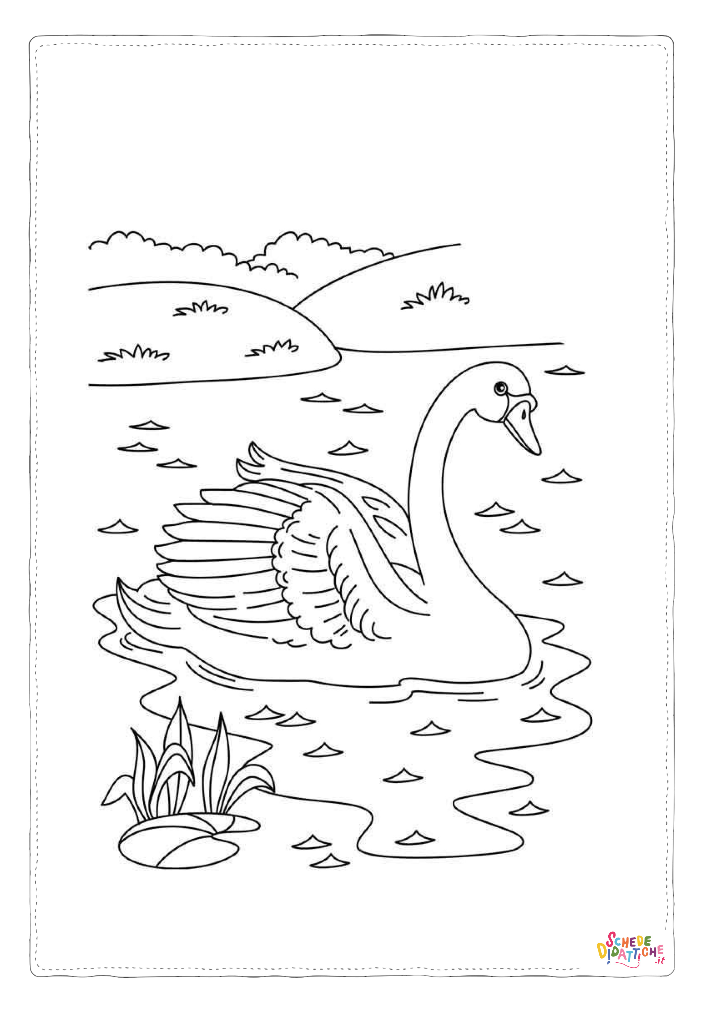 Disegno di cigno da stampare e colorare 19