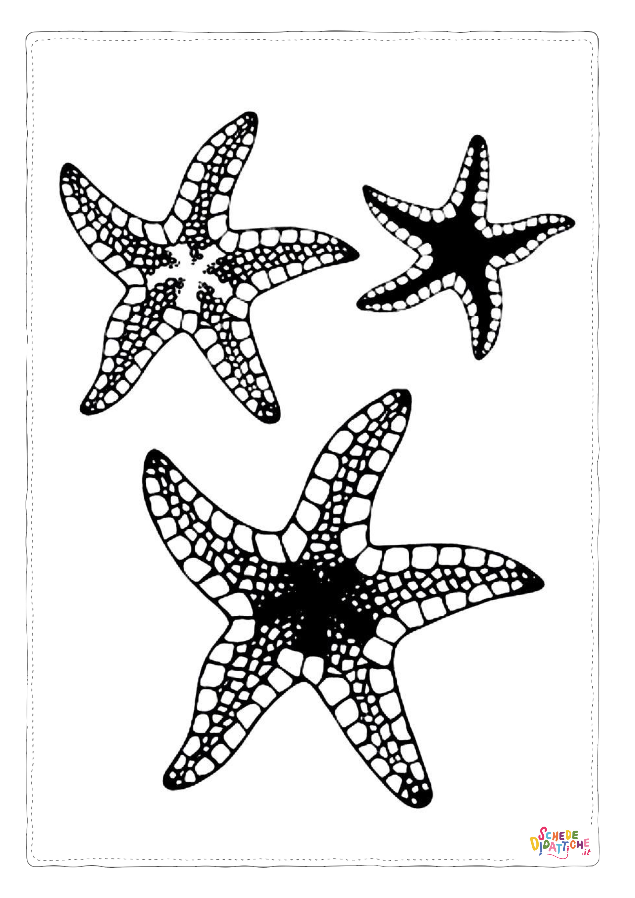 Disegno di stella marina da stampare e colorare 7