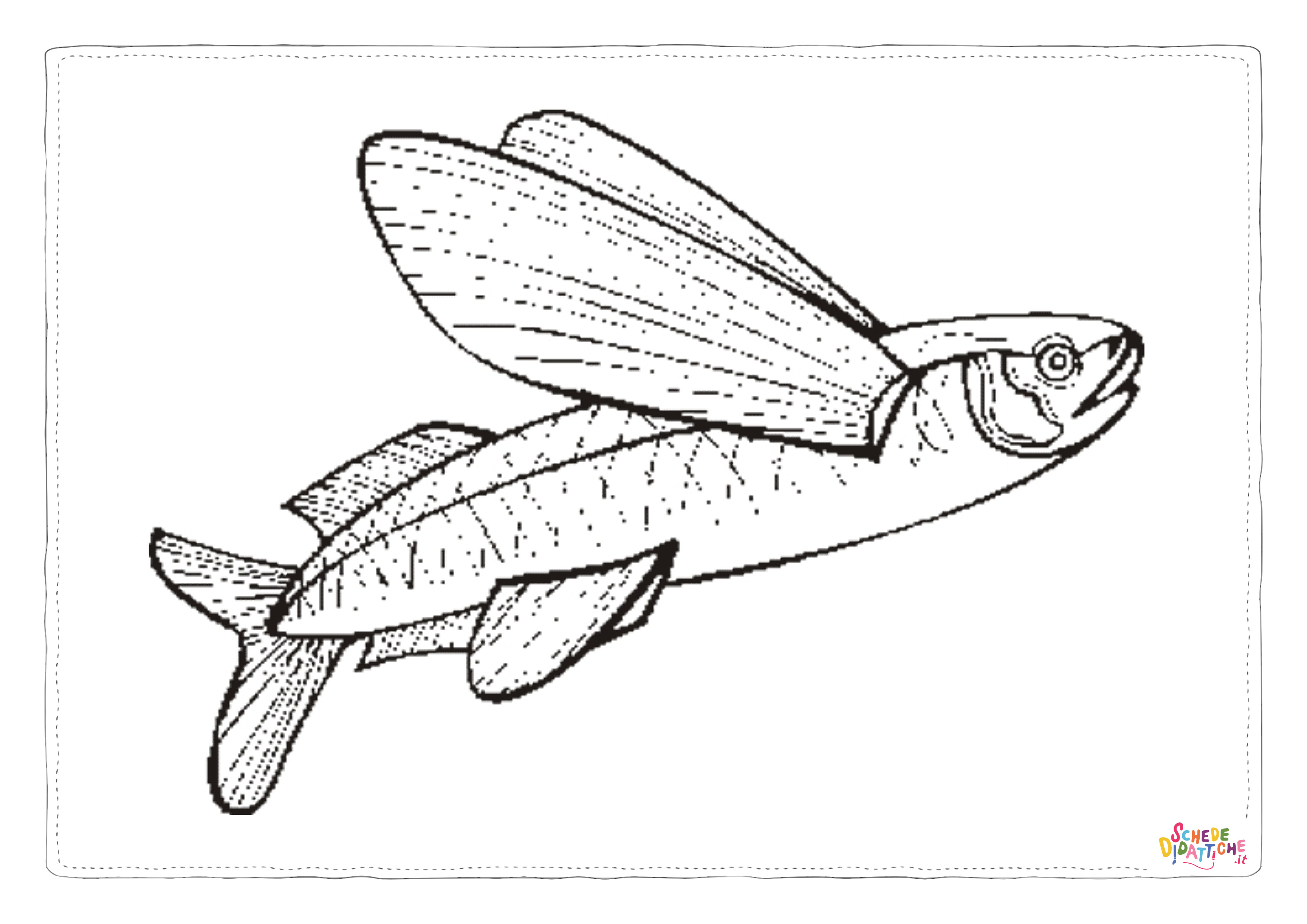 Disegno "Disegno di pesce da stampare e colorare 211" Disegno di pesce da stampare e colorare 211
