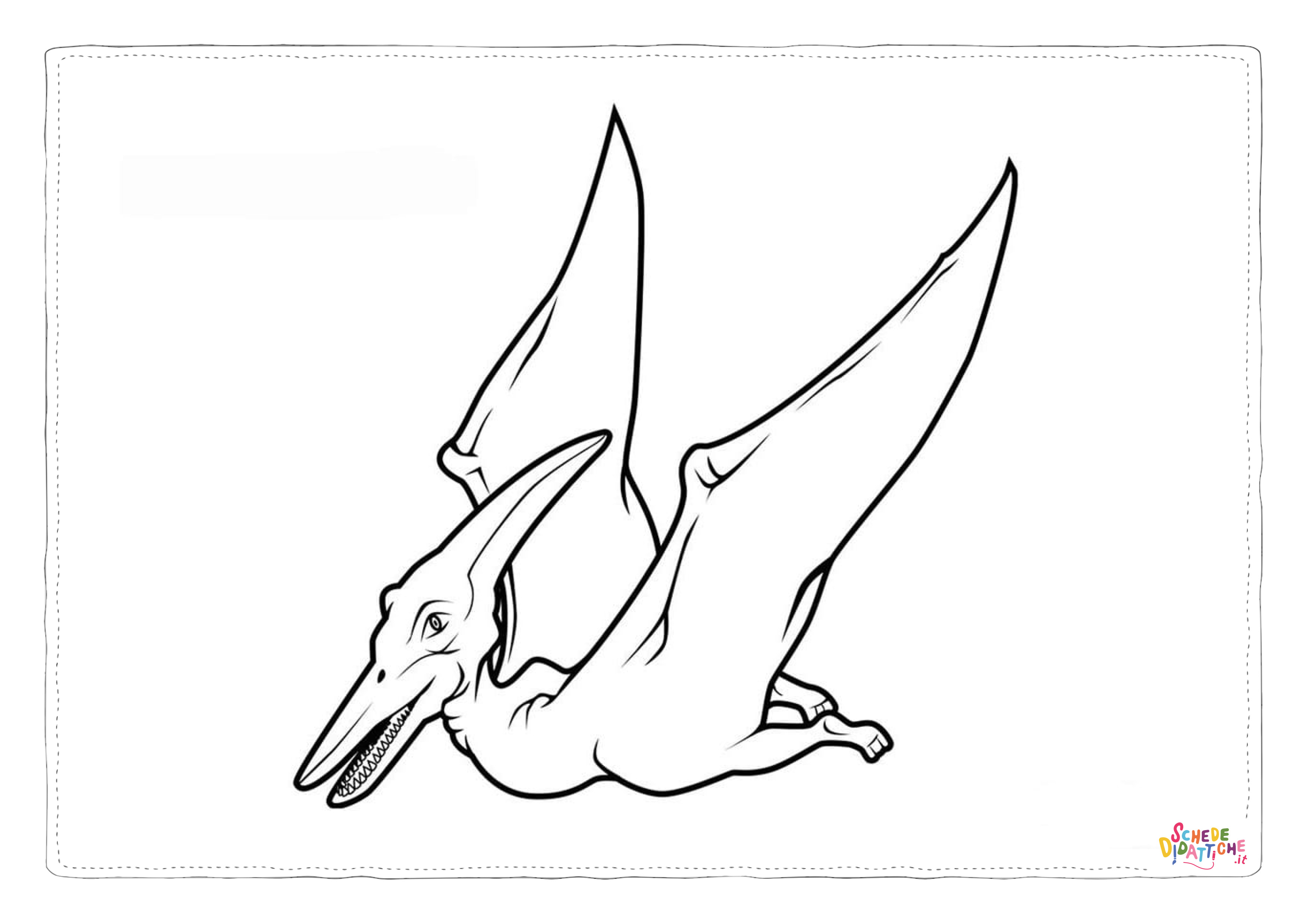 Disegno di Pterodattilo da stampare e colorare 14