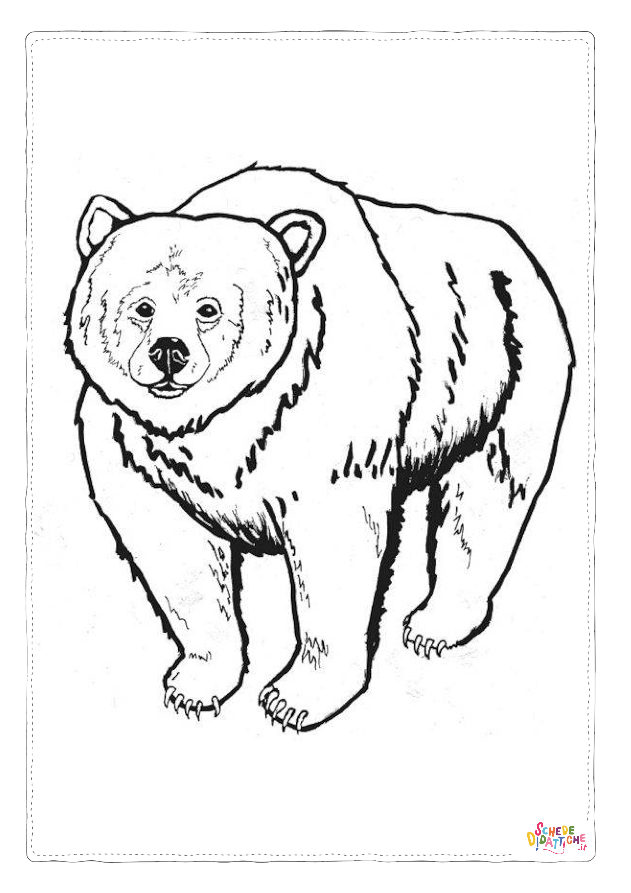 Disegno "Disegno di orso polare da stampare e colorare 11" Disegno di orso polare da stampare e colorare 11
