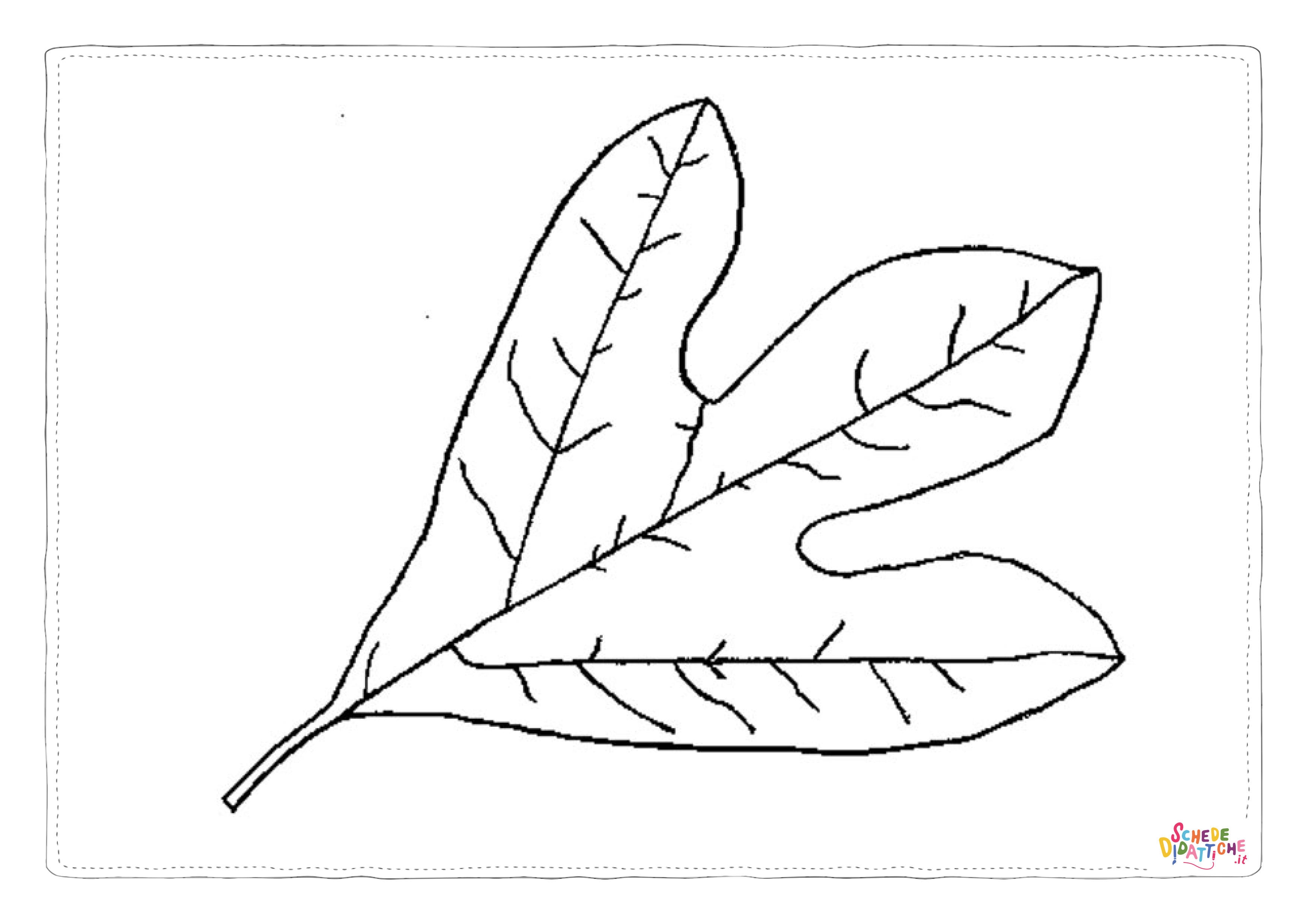 Disegno "Disegno di foglia da stampare e colorare 177" Disegno di foglia da stampare e colorare 177