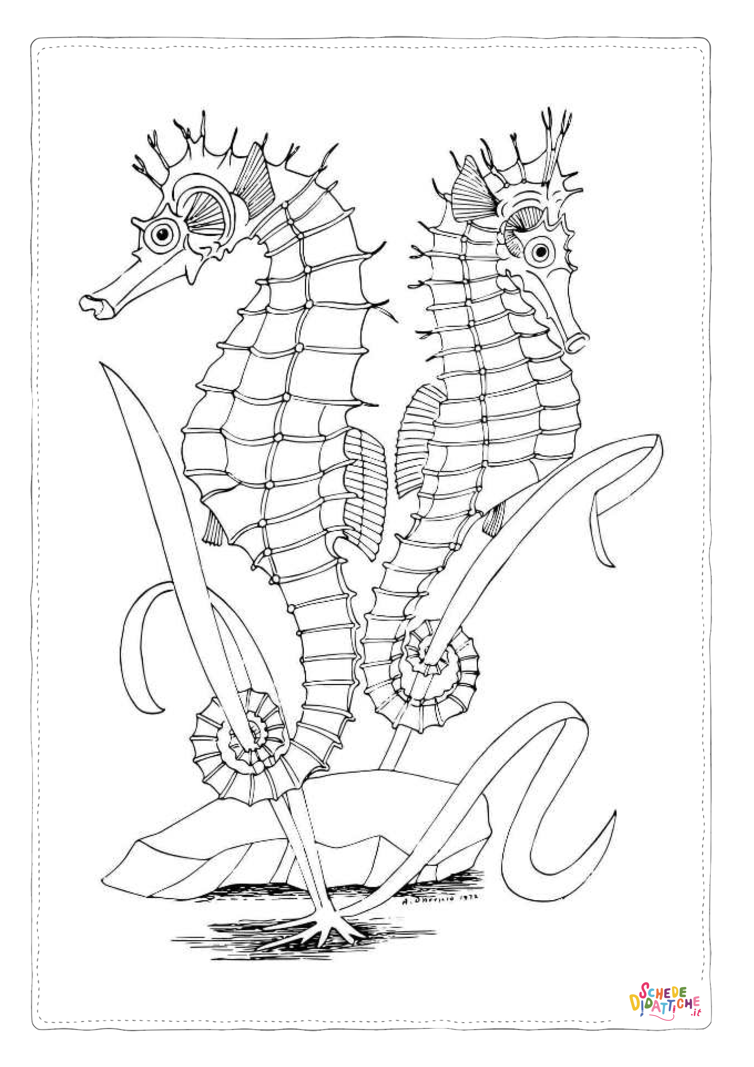 Disegno "Disegno di cavalluccio marino da stampare e colorare 25" Disegno di cavalluccio marino da stampare e colorare 25
