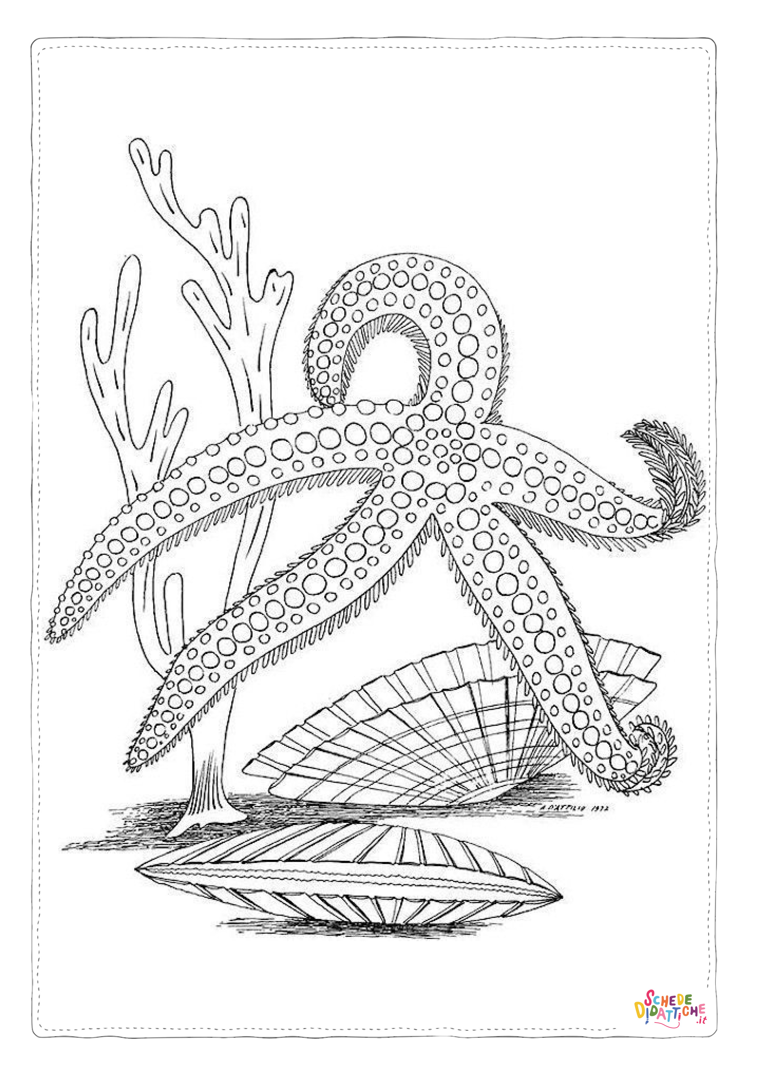 Disegno "Disegno di stella marina da stampare e colorare 13" Disegno di stella marina da stampare e colorare 13