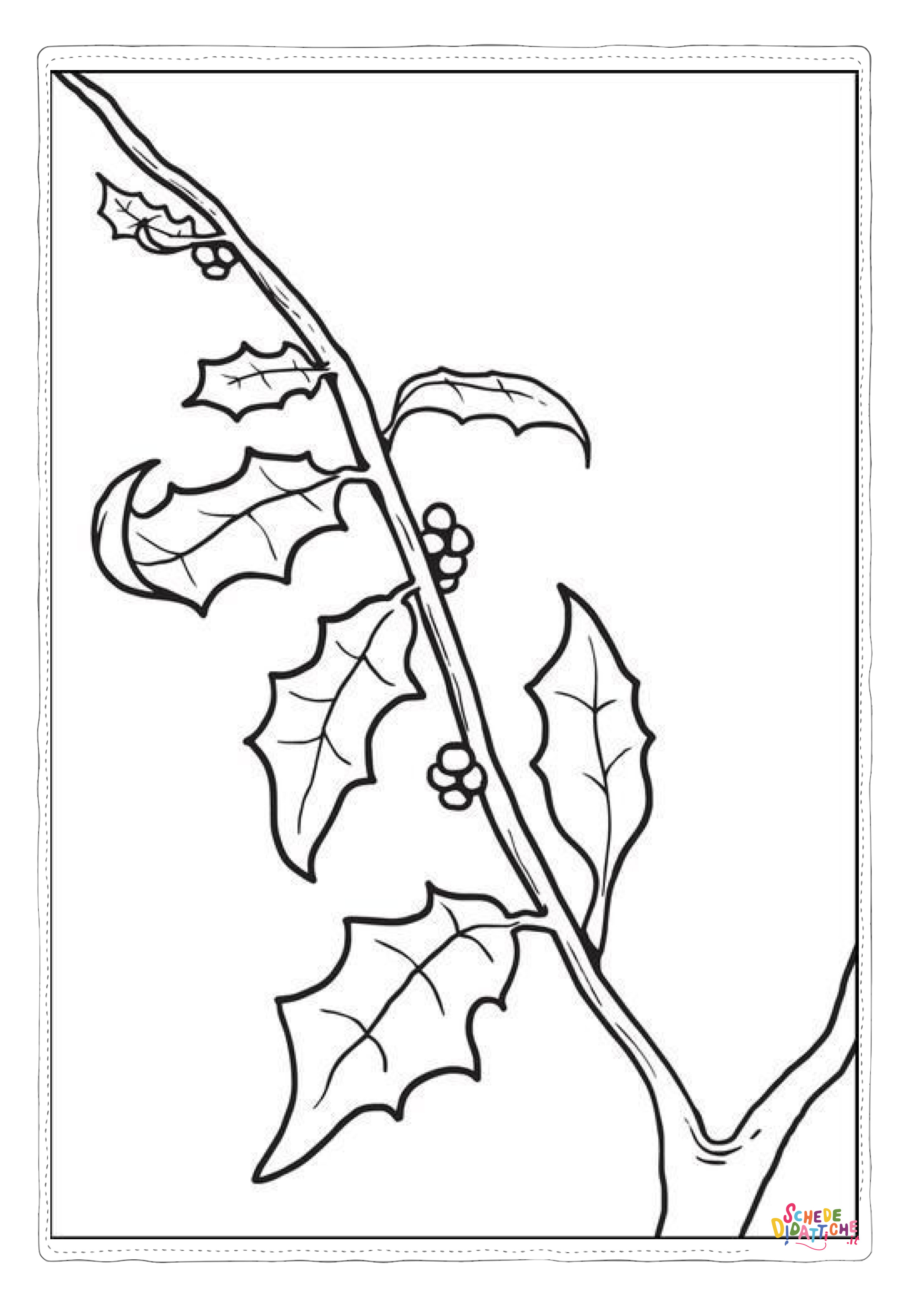 Disegno "Disegno di pungitopo da stampare e colorare 26" Disegno di pungitopo da stampare e colorare 26