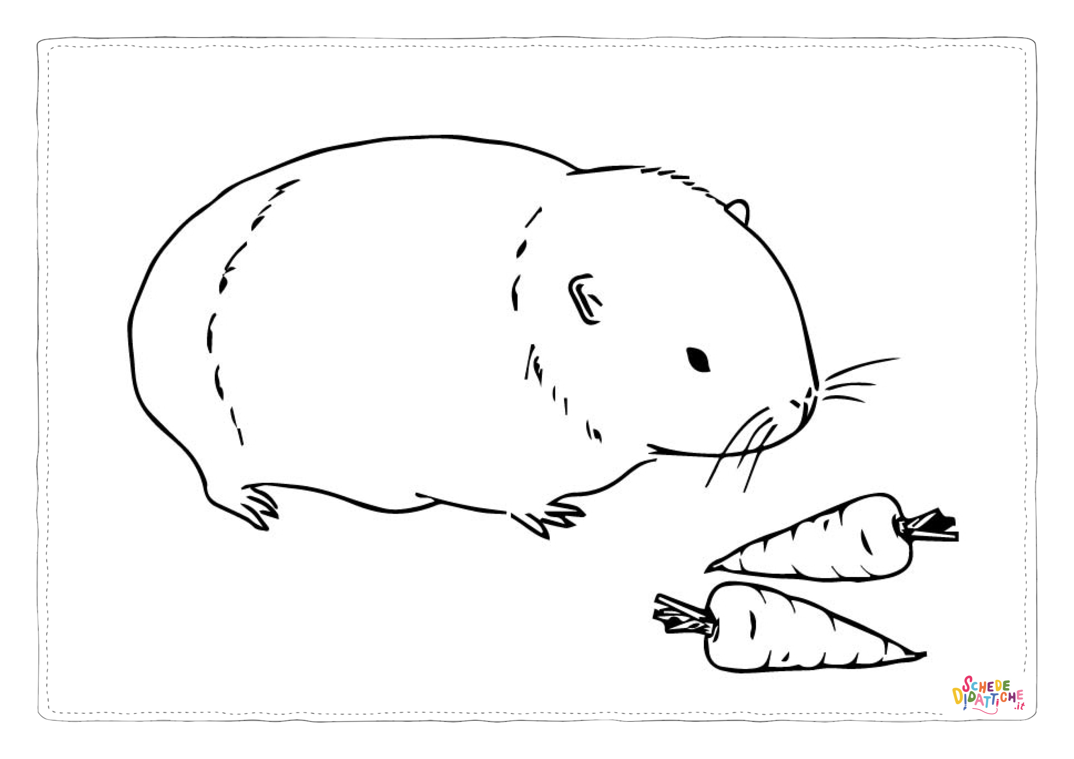 Disegno di criceto da stampare e colorare 3