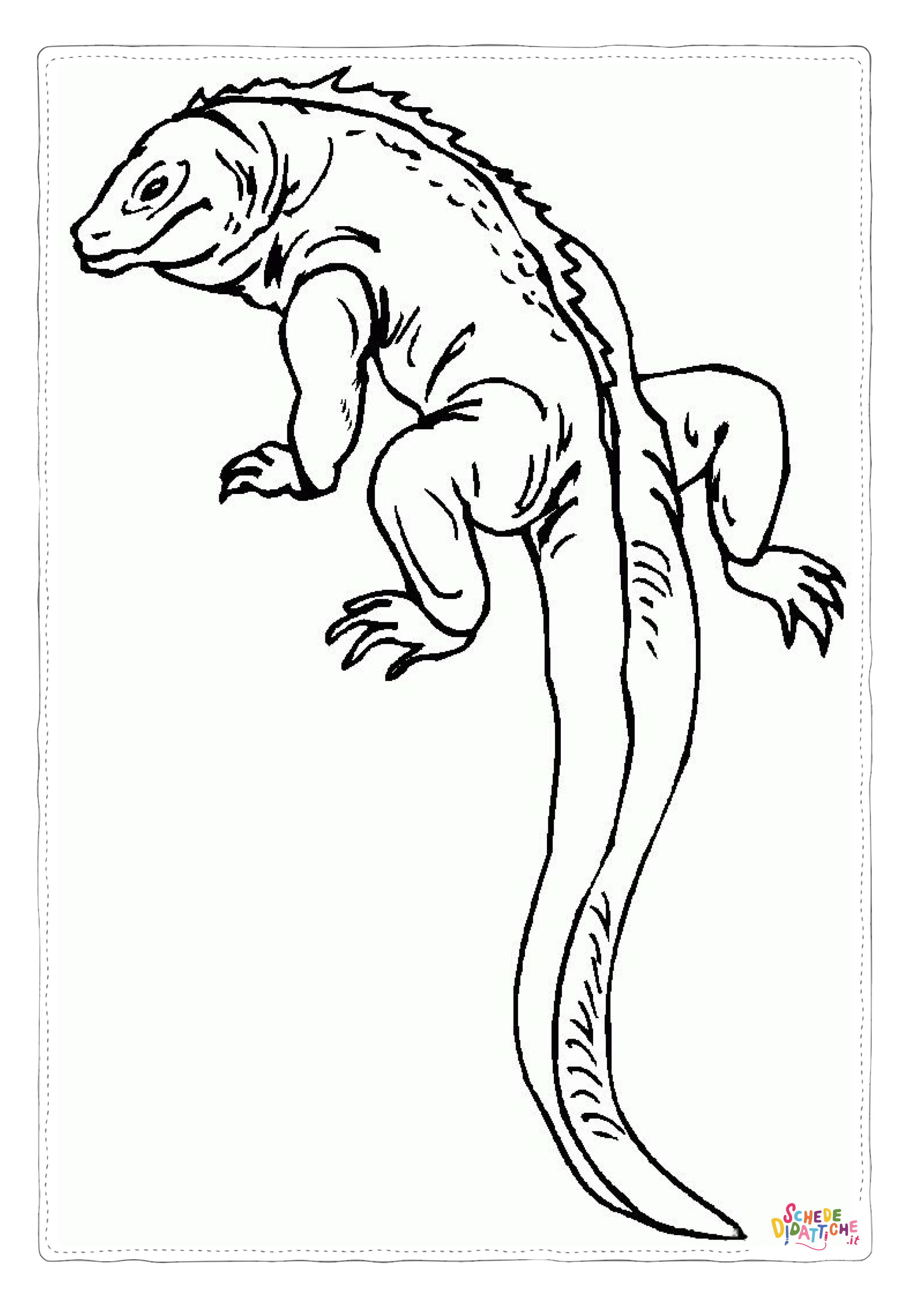 Disegno di iguana da stampare e colorare 17