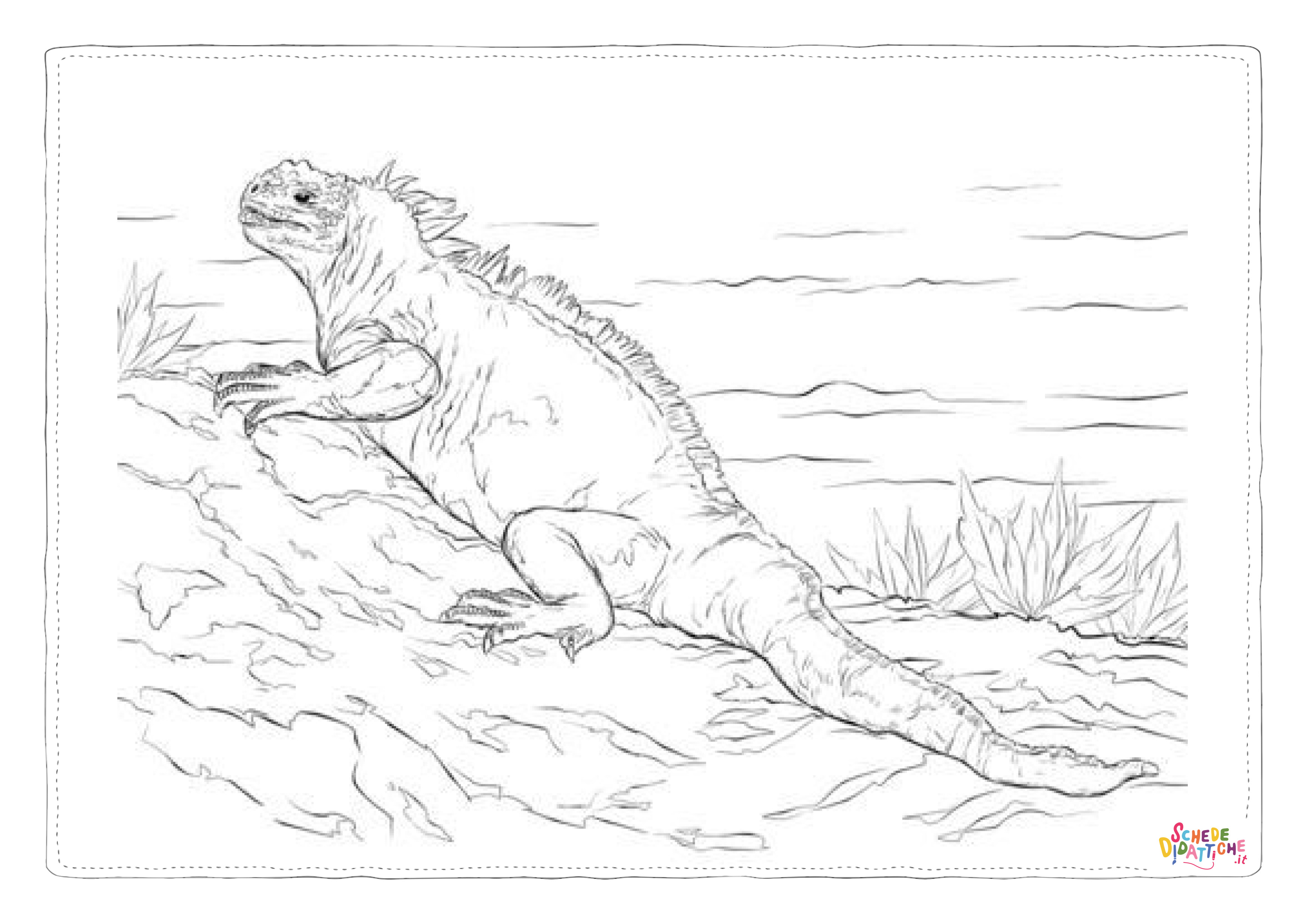 Disegno di iguana da stampare e colorare 8