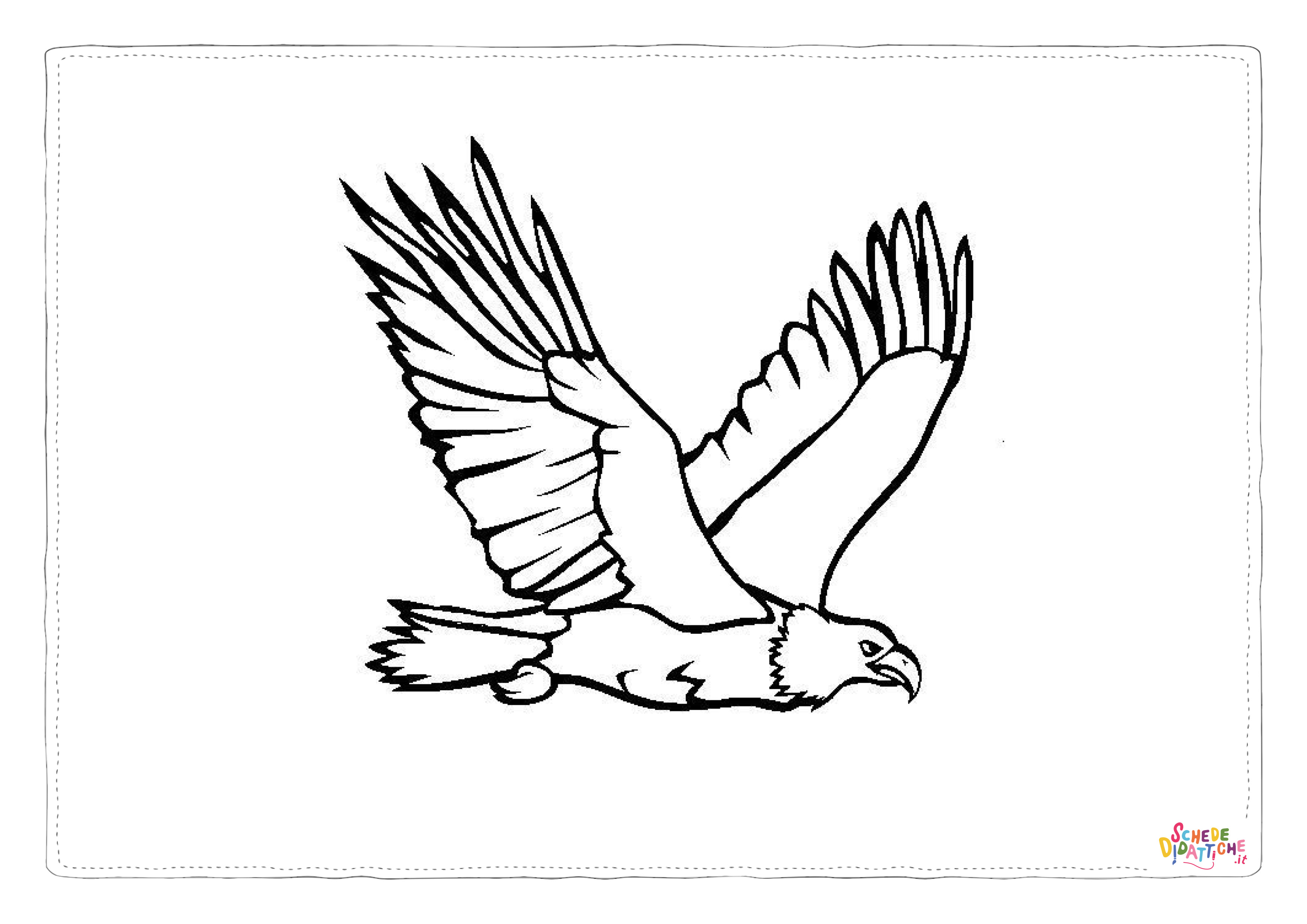 Disegno di aquila da stampare e colorare 28