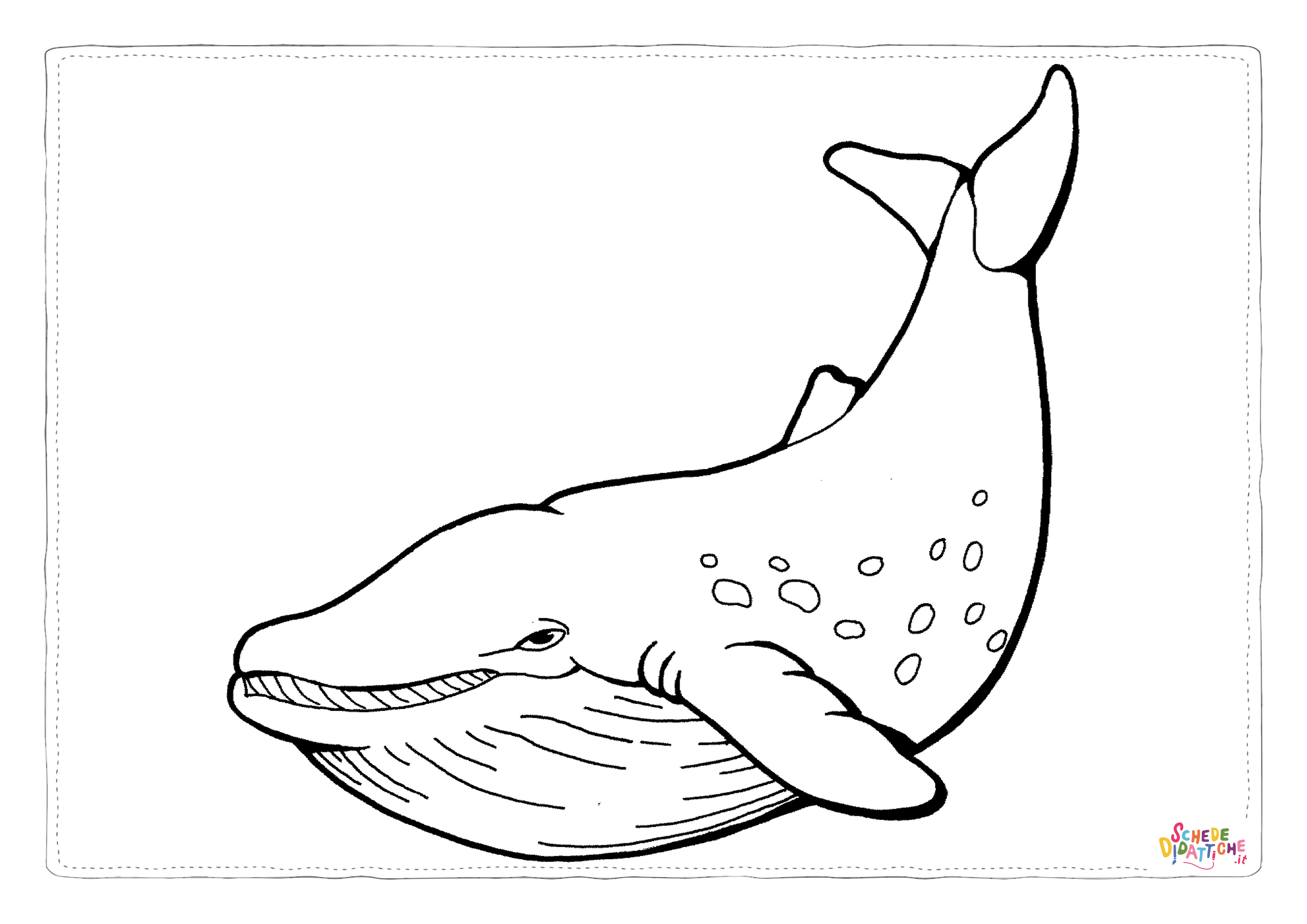 Disegno "Disegno di balena da stampare e colorare 13" Disegno di balena da stampare e colorare 13