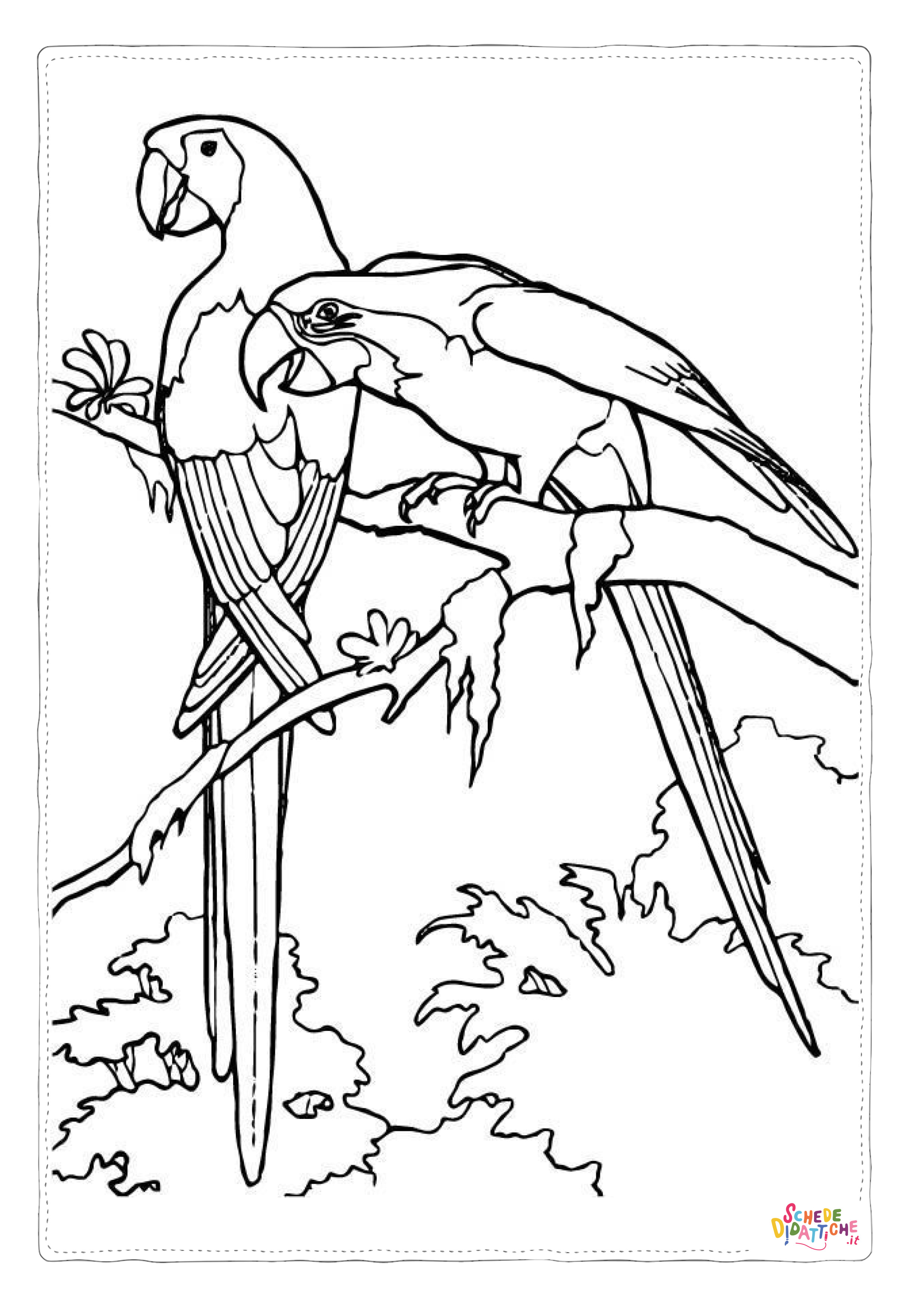 Disegno "Disegno di pappagallo da stampare e colorare 156" Disegno di pappagallo da stampare e colorare 156