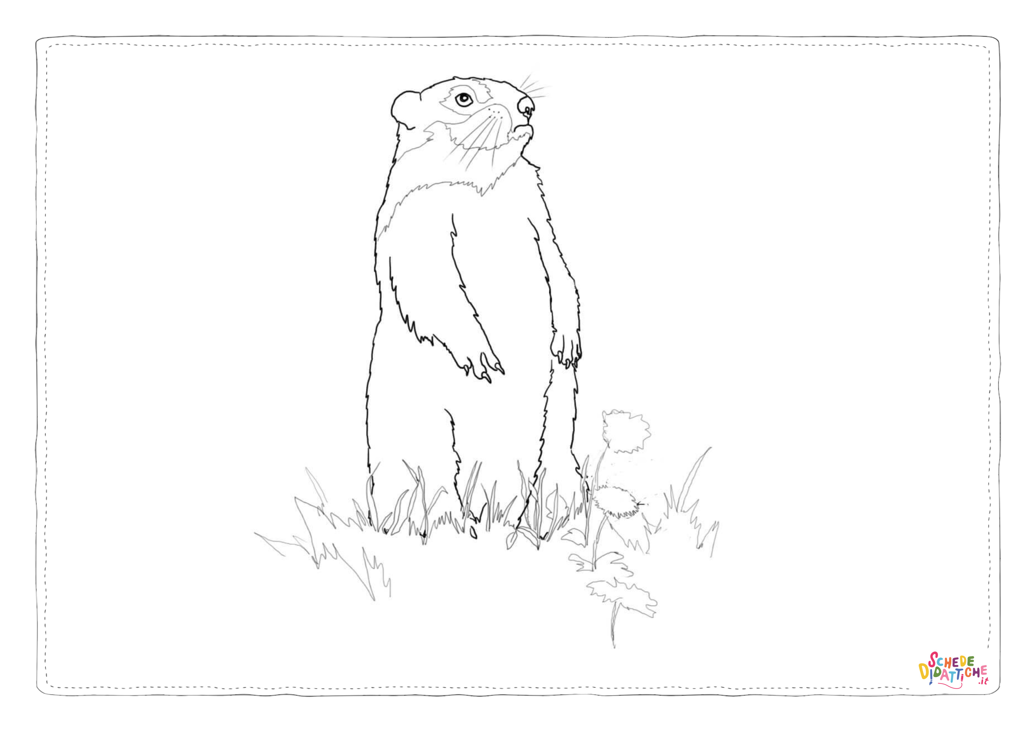 Disegno "Disegno di castoro da stampare e colorare 11" Disegno di castoro da stampare e colorare 11