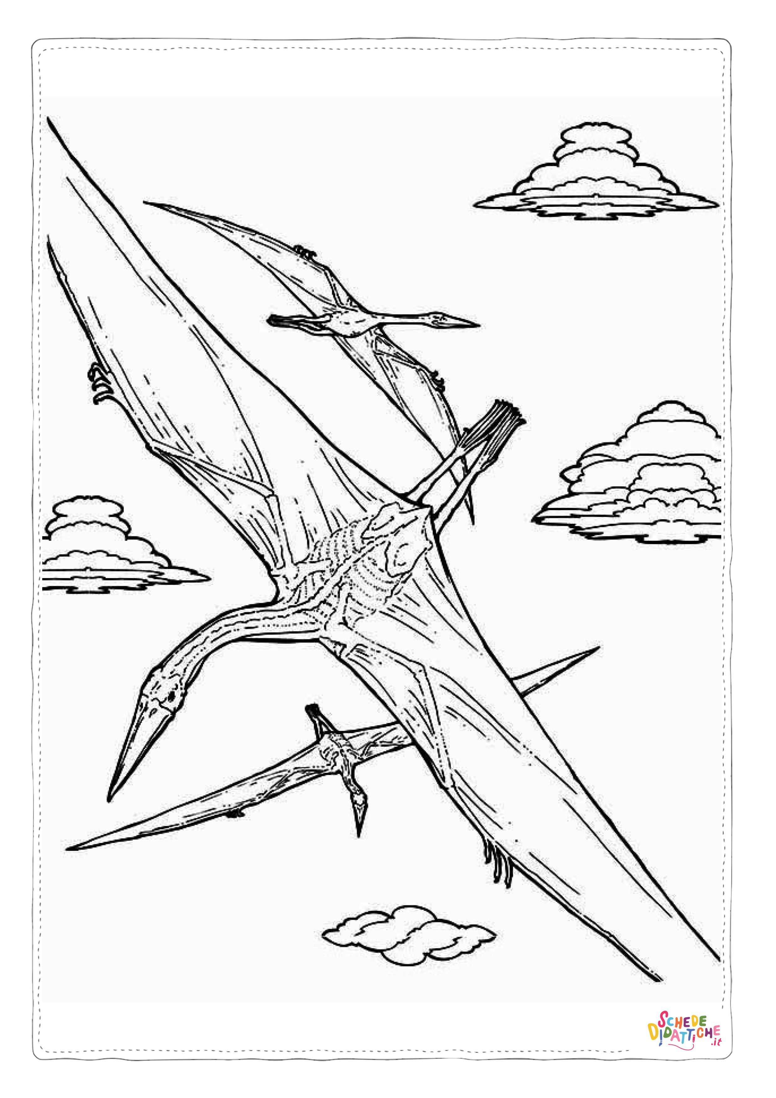 Disegno "Disegno di Pterodattilo da stampare e colorare 24" Disegno di Pterodattilo da stampare e colorare 24