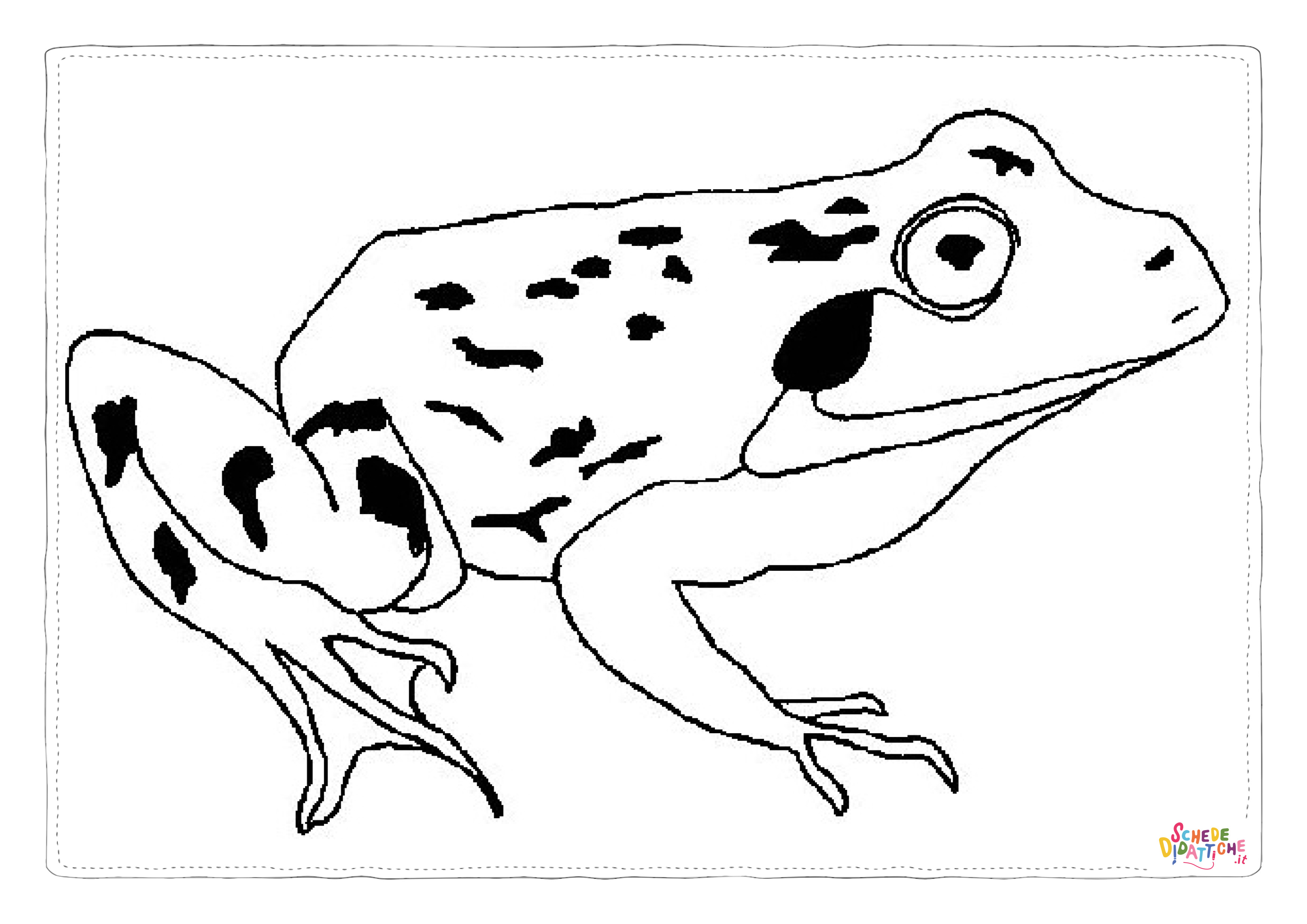 Disegno di rana da stampare e colorare 51