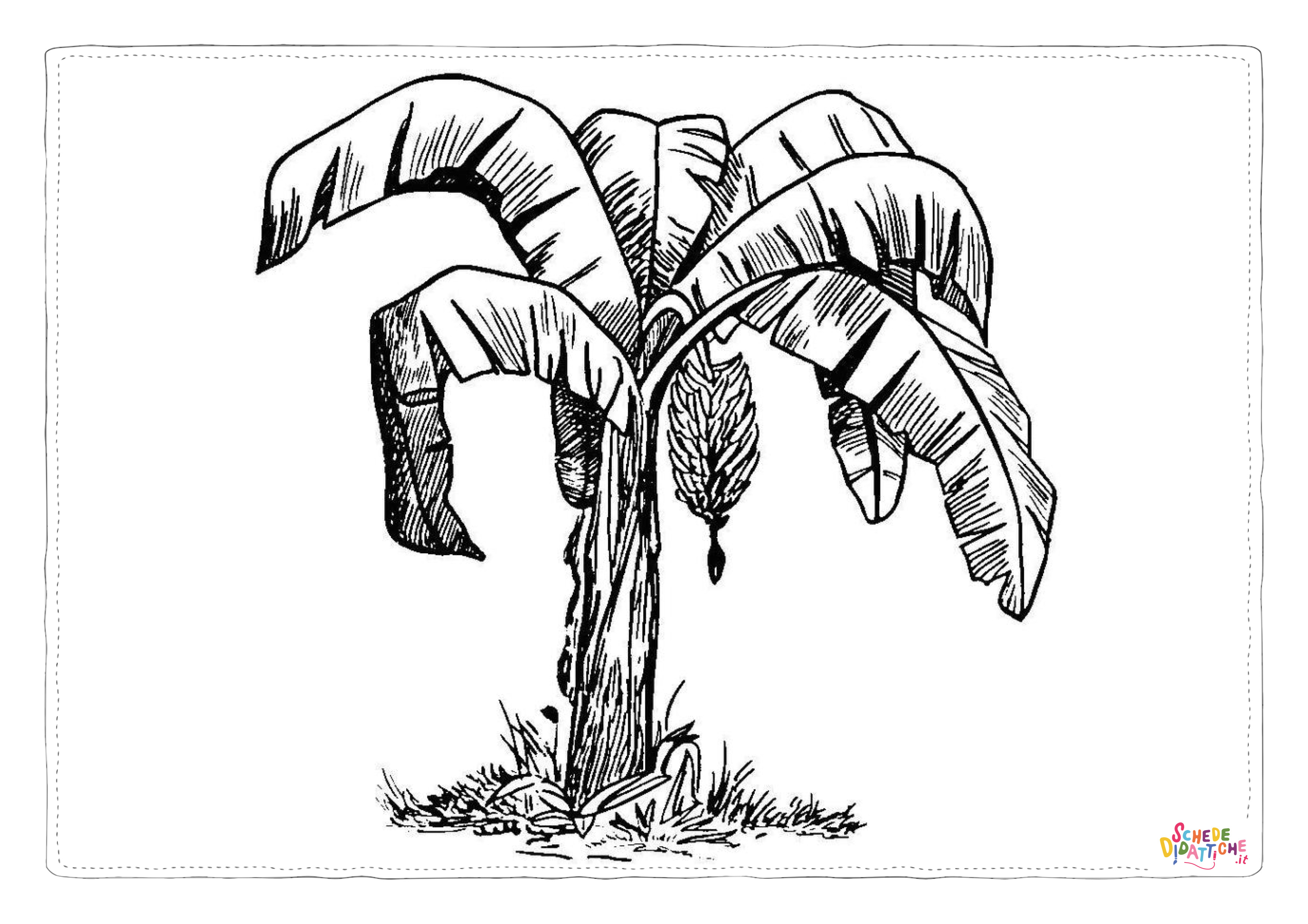 Disegno di albero da frutta da stampare e colorare 13