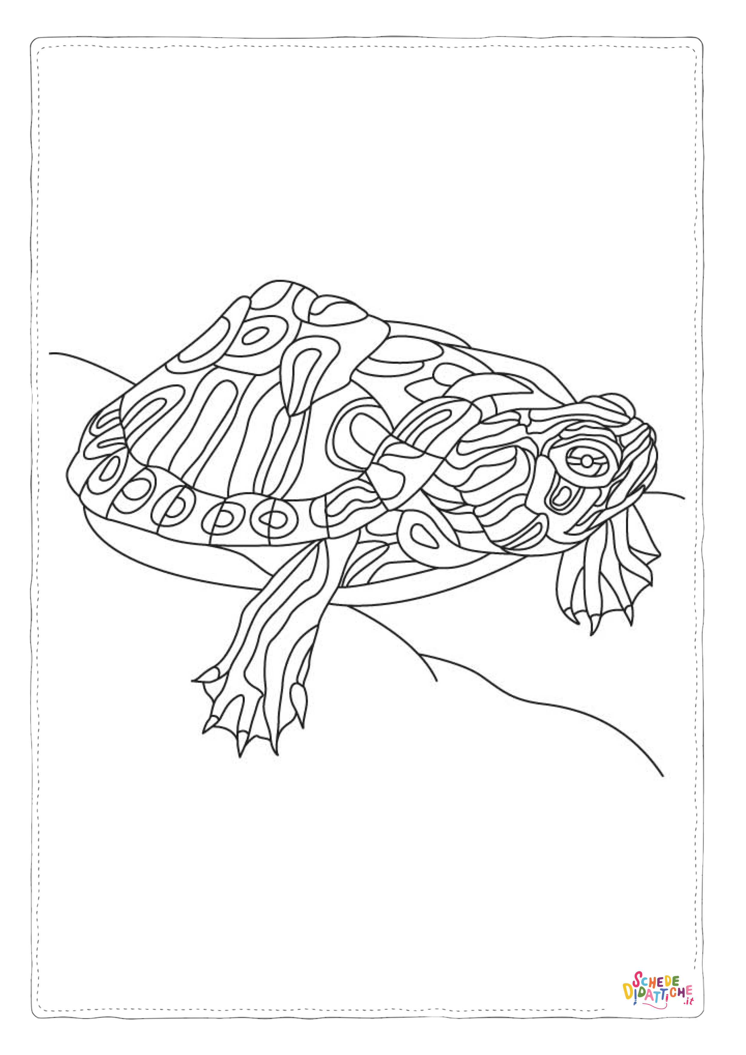 Disegno "Disegno di tartaruga di mare da stampare e colorare 11" Disegno di tartaruga di mare da stampare e colorare 11