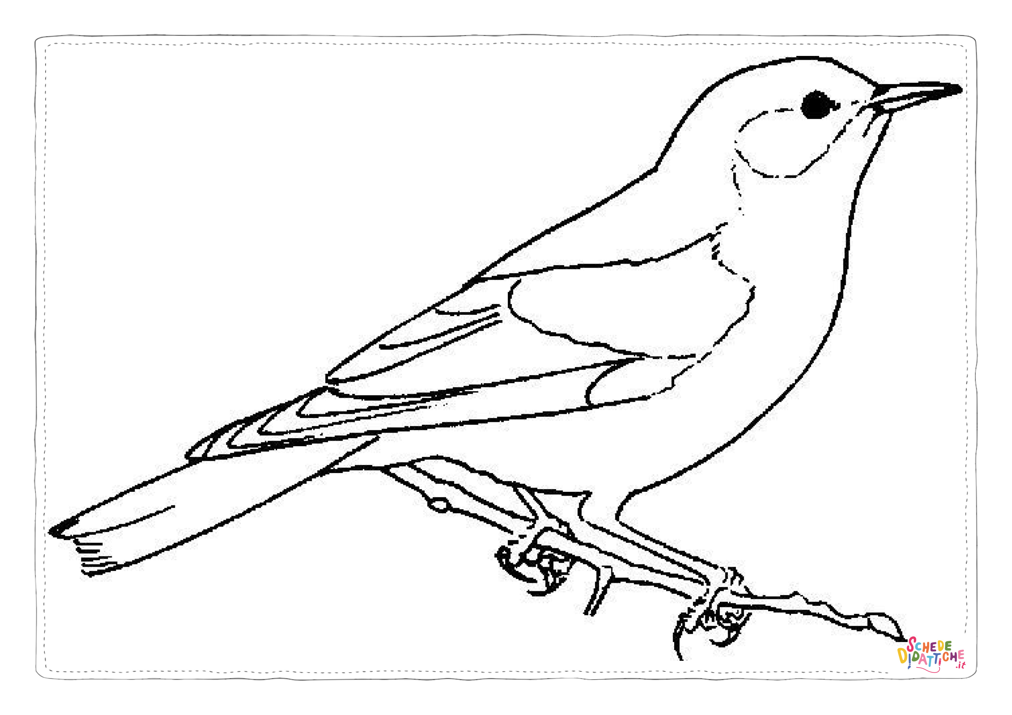 Disegno "Disegno di passero da stampare e colorare 38" Disegno di passero da stampare e colorare 38