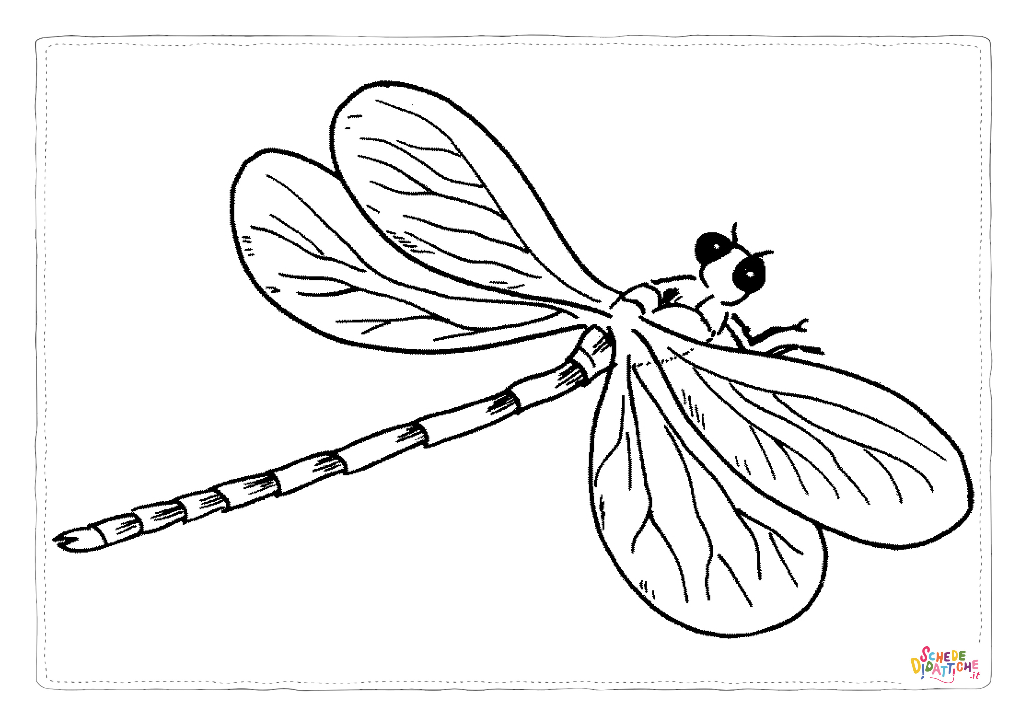 Disegno di libellula da stampare e colorare 15