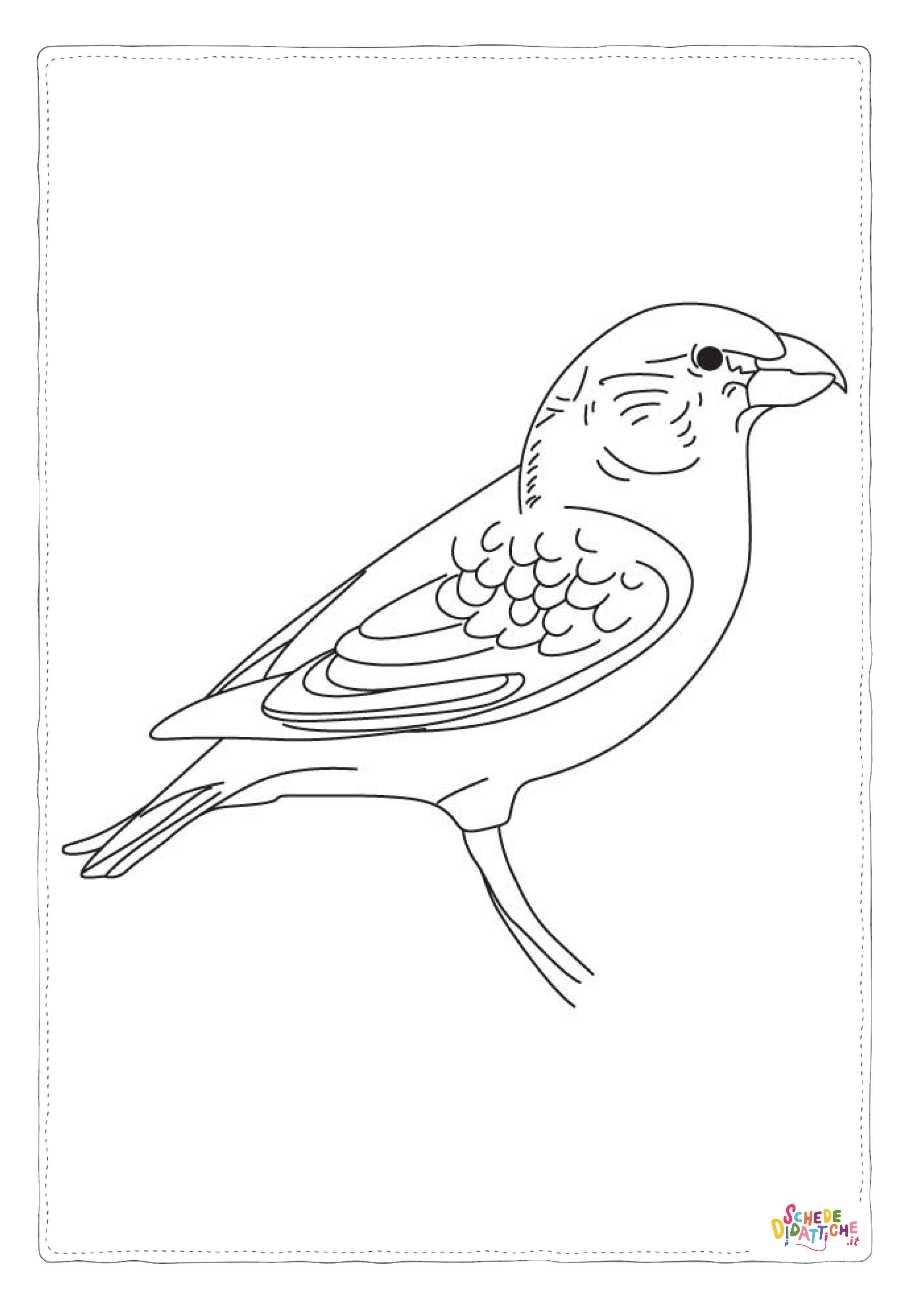 Disegno "Disegno di passero da stampare e colorare 21" Disegno di passero da stampare e colorare 21