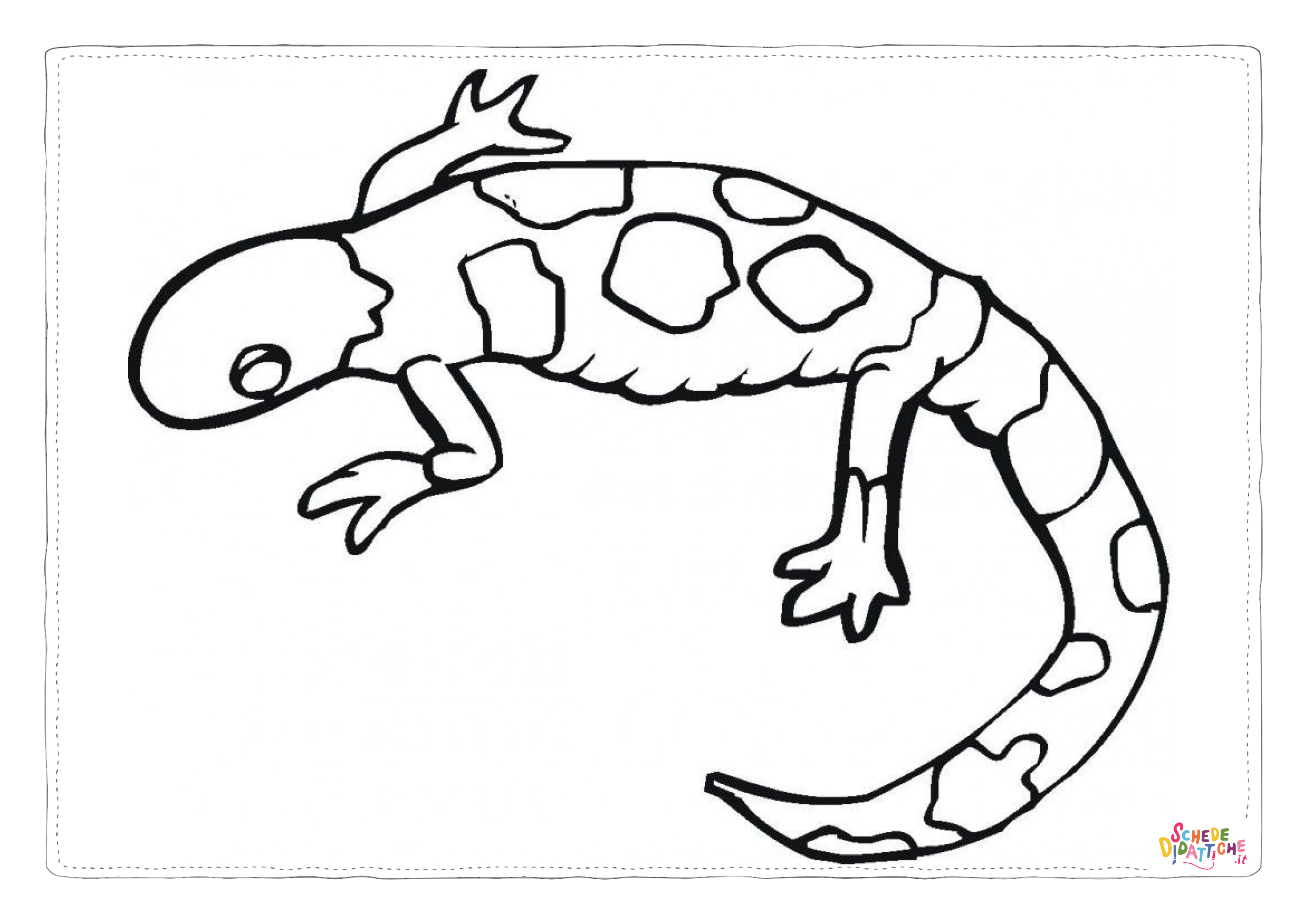 Disegno "Disegno di lucertola da stampare e colorare 13" Disegno di lucertola da stampare e colorare 13