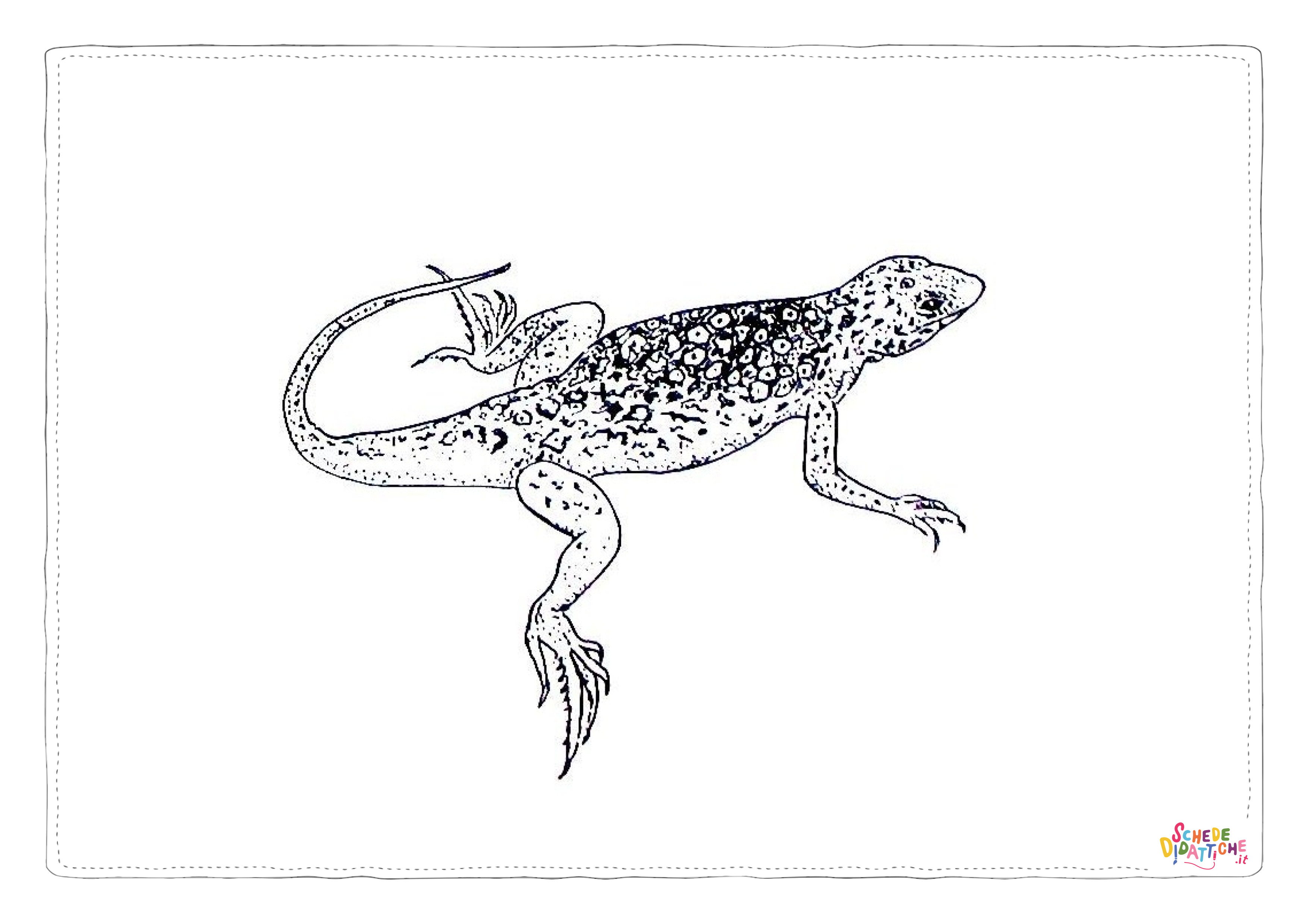 Disegno di lucertola da stampare e colorare 16