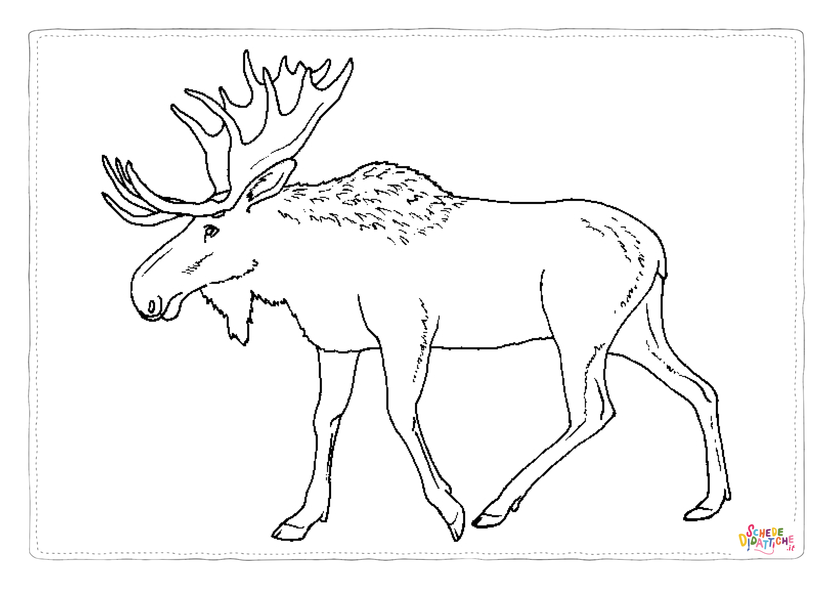 Disegno "Disegno di alce da stampare e colorare 30" Disegno di alce da stampare e colorare 30