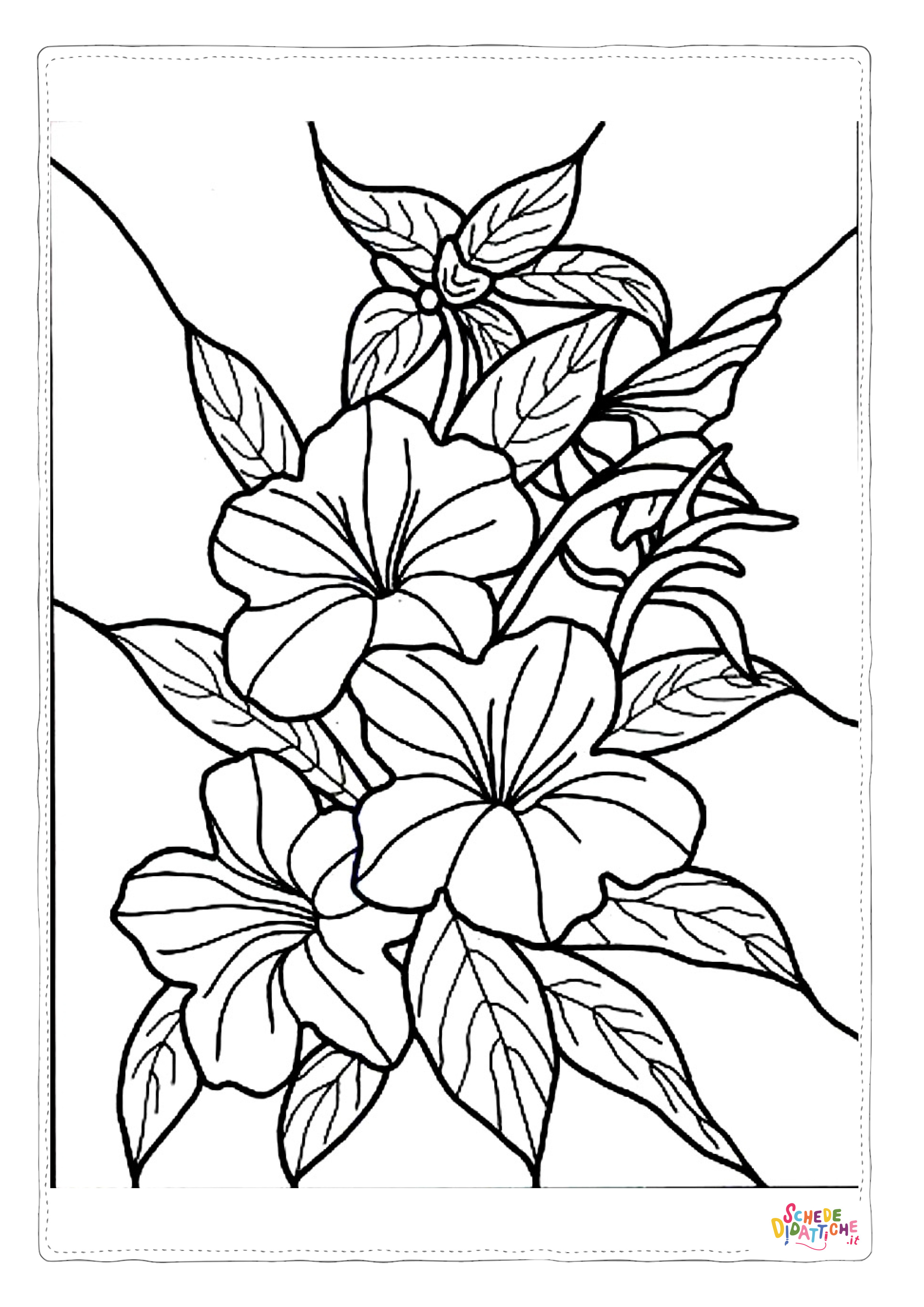 Disegno di fiore da stampare e colorare 311
