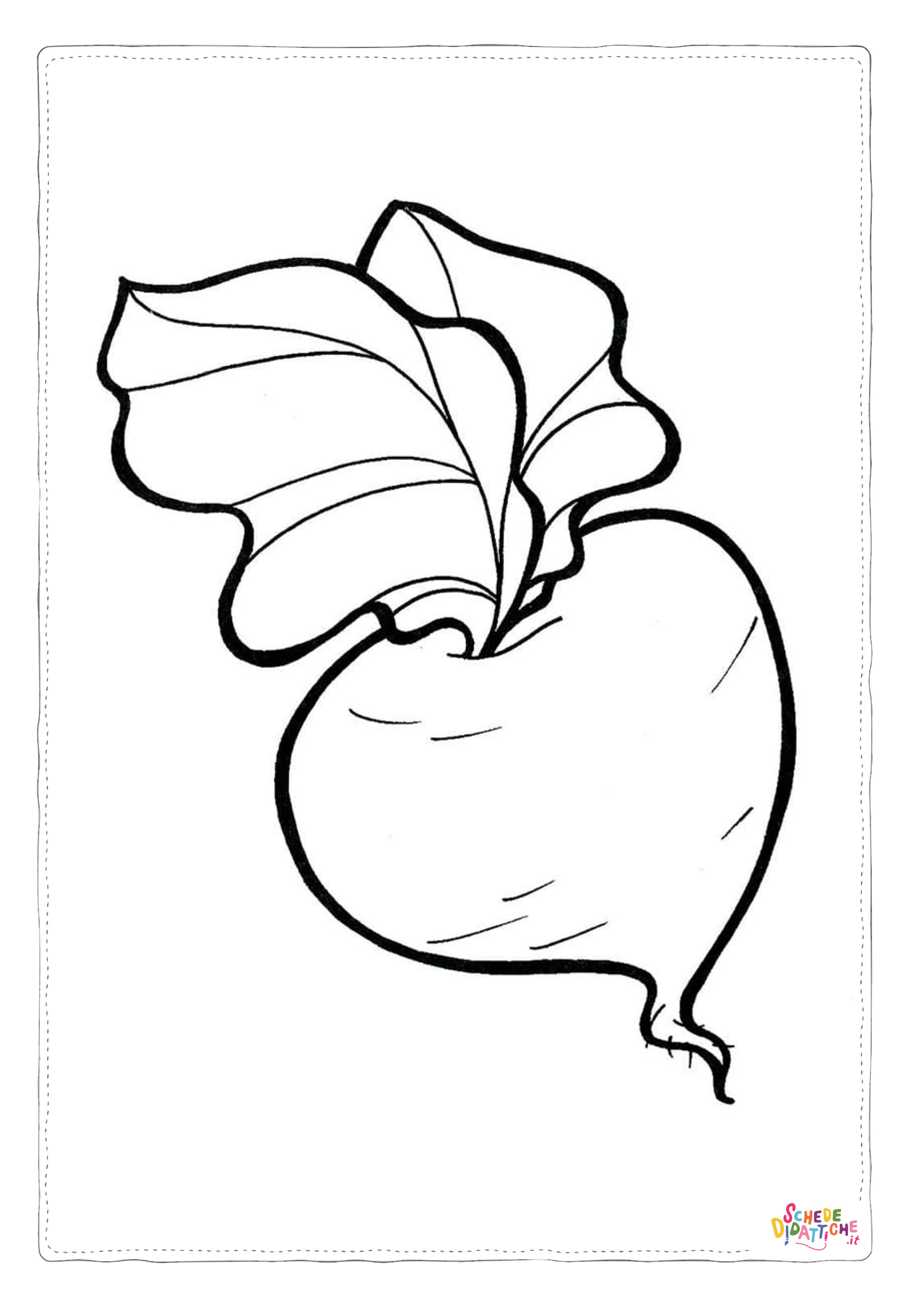 Disegno di rapa da stampare e colorare 5