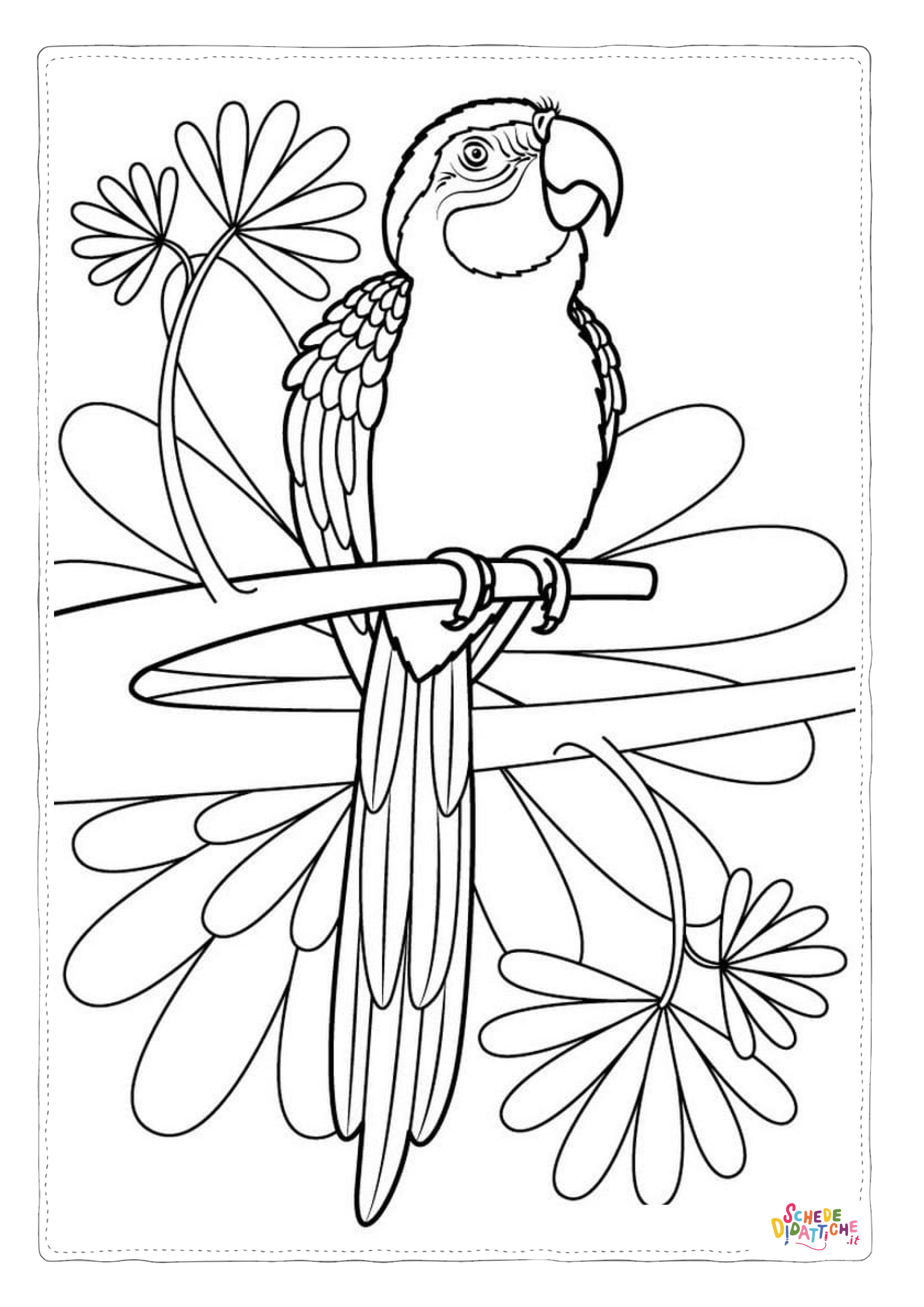 Disegno "Disegno di pappagallo da stampare e colorare 82" Disegno di pappagallo da stampare e colorare 82