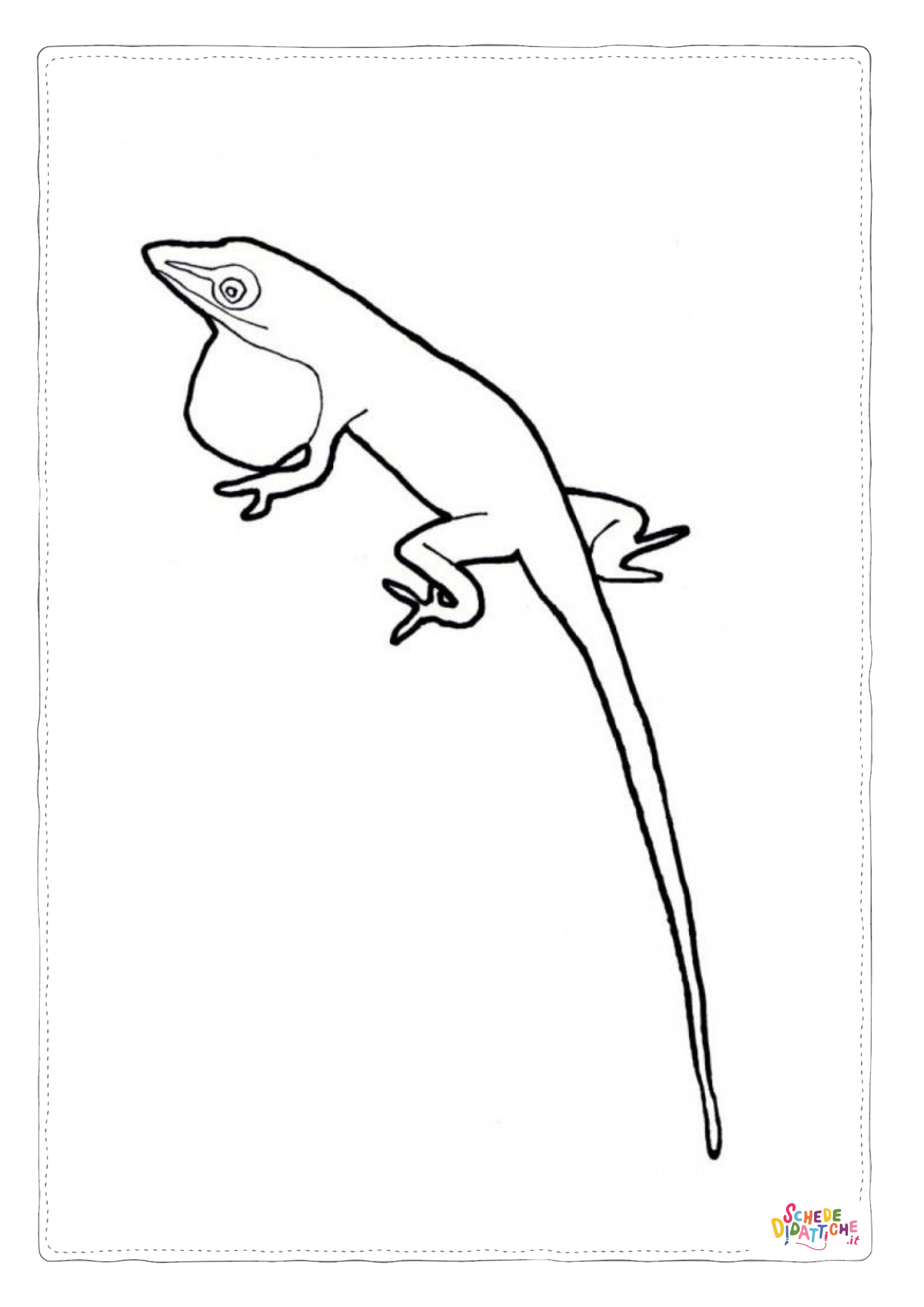 Disegno di lucertola da stampare e colorare 23