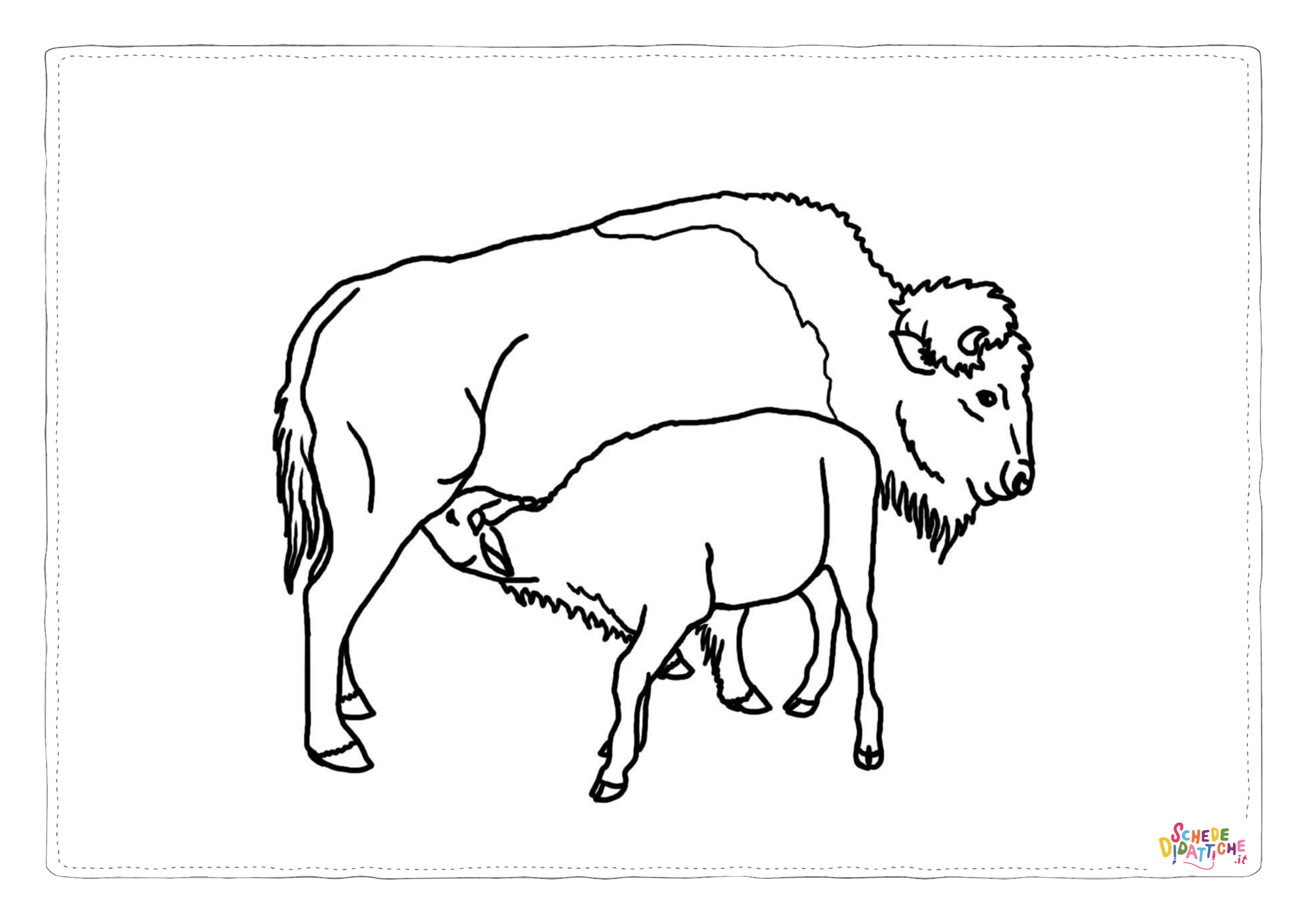 Disegno "Disegno di bisonte da stampare e colorare 18" Disegno di bisonte da stampare e colorare 18