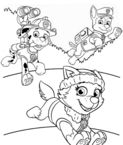 Disegno di Paw Patrol – Cane pompiere da stampare e colorare 17 Disegno di Paw Patrol – Cane pompiere da stampare e colorare 17