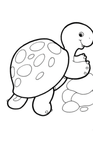 Disegno di tartaruga di terra da stampare e colorare 12