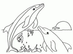 Disegno di delfino da stampare e colorare 27