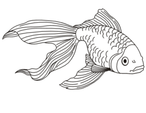 Disegno di pesce da stampare e colorare 206