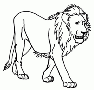 Disegno di Re Leone da stampare e colorare 32