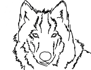Disegno di lupo da stampare e colorare 20