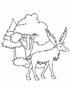 Disegno di alce da stampare e colorare 19