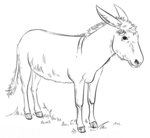 Disegno di asino da stampare e colorare 7