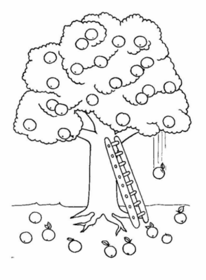 Disegno di albero da frutta da stampare e colorare 29