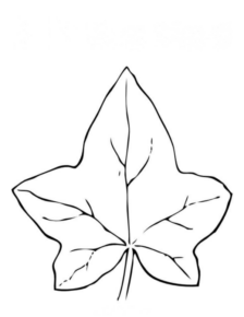 Disegno di foglia da stampare e colorare 4