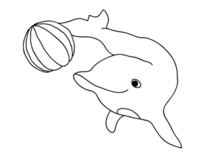 Disegno di delfino da stampare e colorare 5
