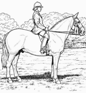 Disegno di equitazione da stampare e colorare 3