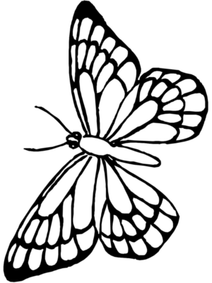 Disegno di farfalla da stampare e colorare 168