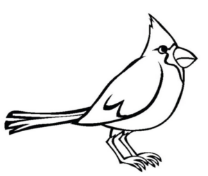 Disegno di uccello da stampare e colorare 16