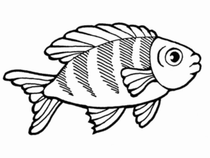 Disegno di pesce da stampare e colorare 174